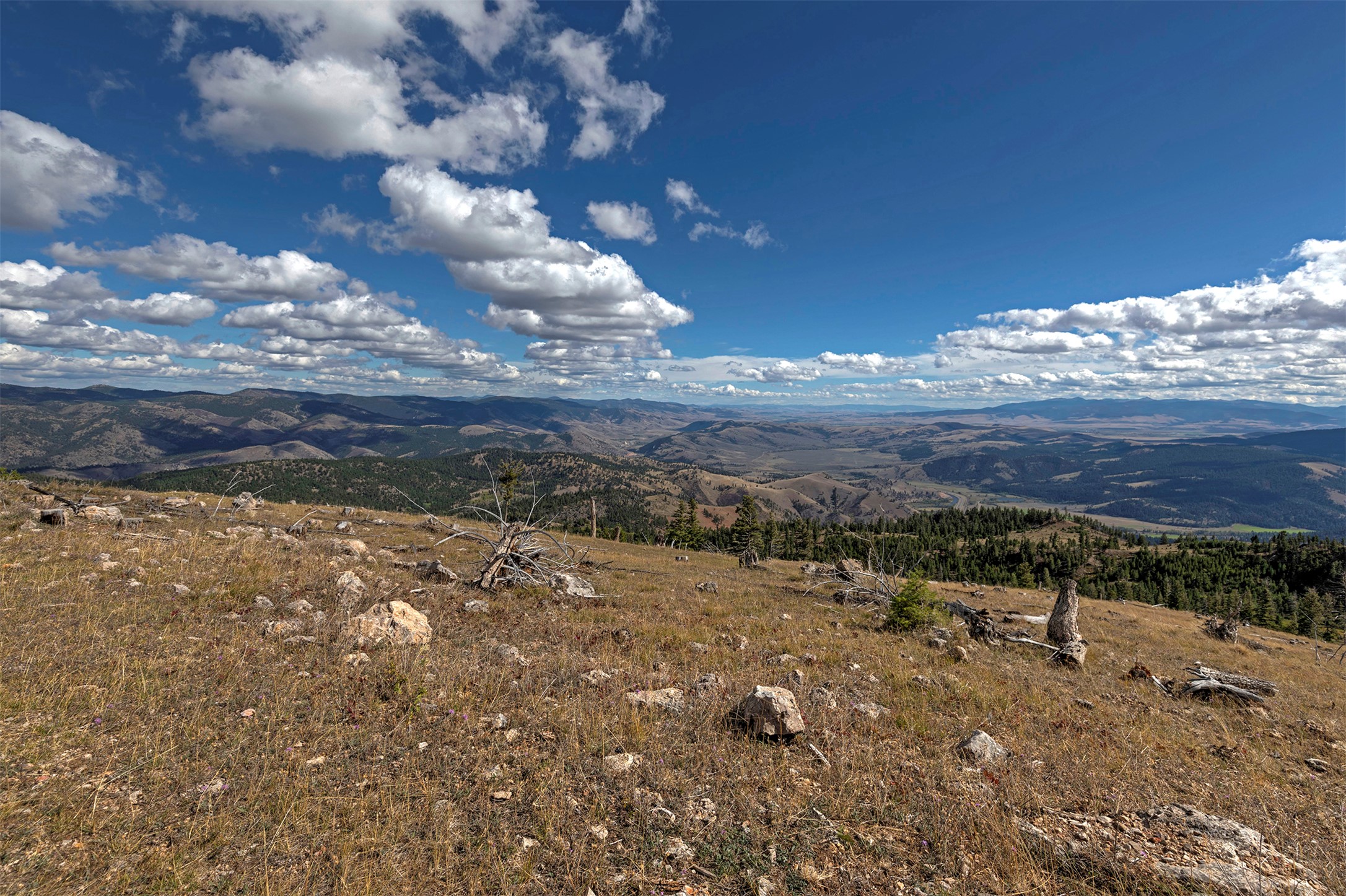 Nhn Bearmouth Ranch Property Photo 80
