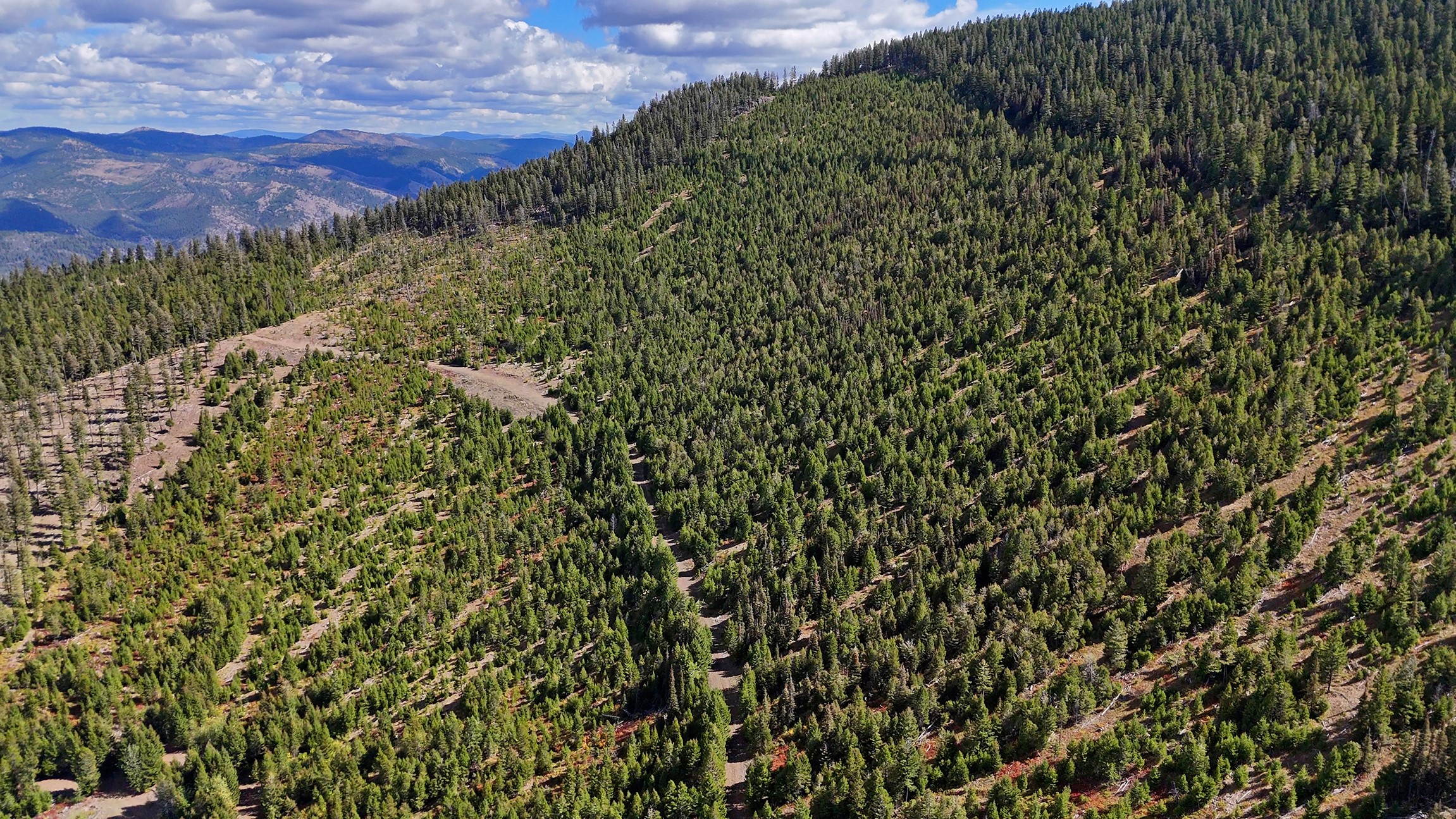 Nhn Bearmouth Ranch Property Photo 82