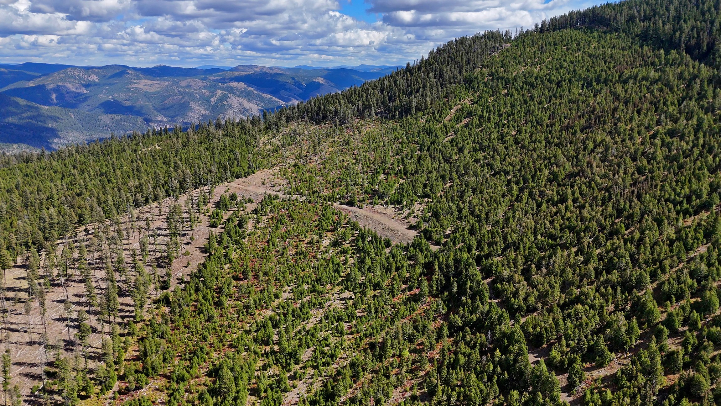 Nhn Bearmouth Ranch Property Photo 83