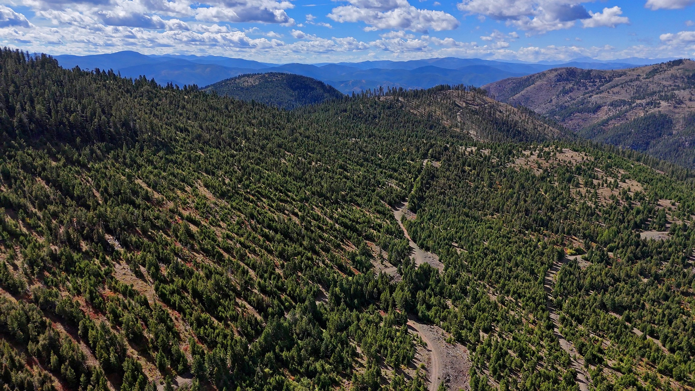 Nhn Bearmouth Ranch Property Photo 85