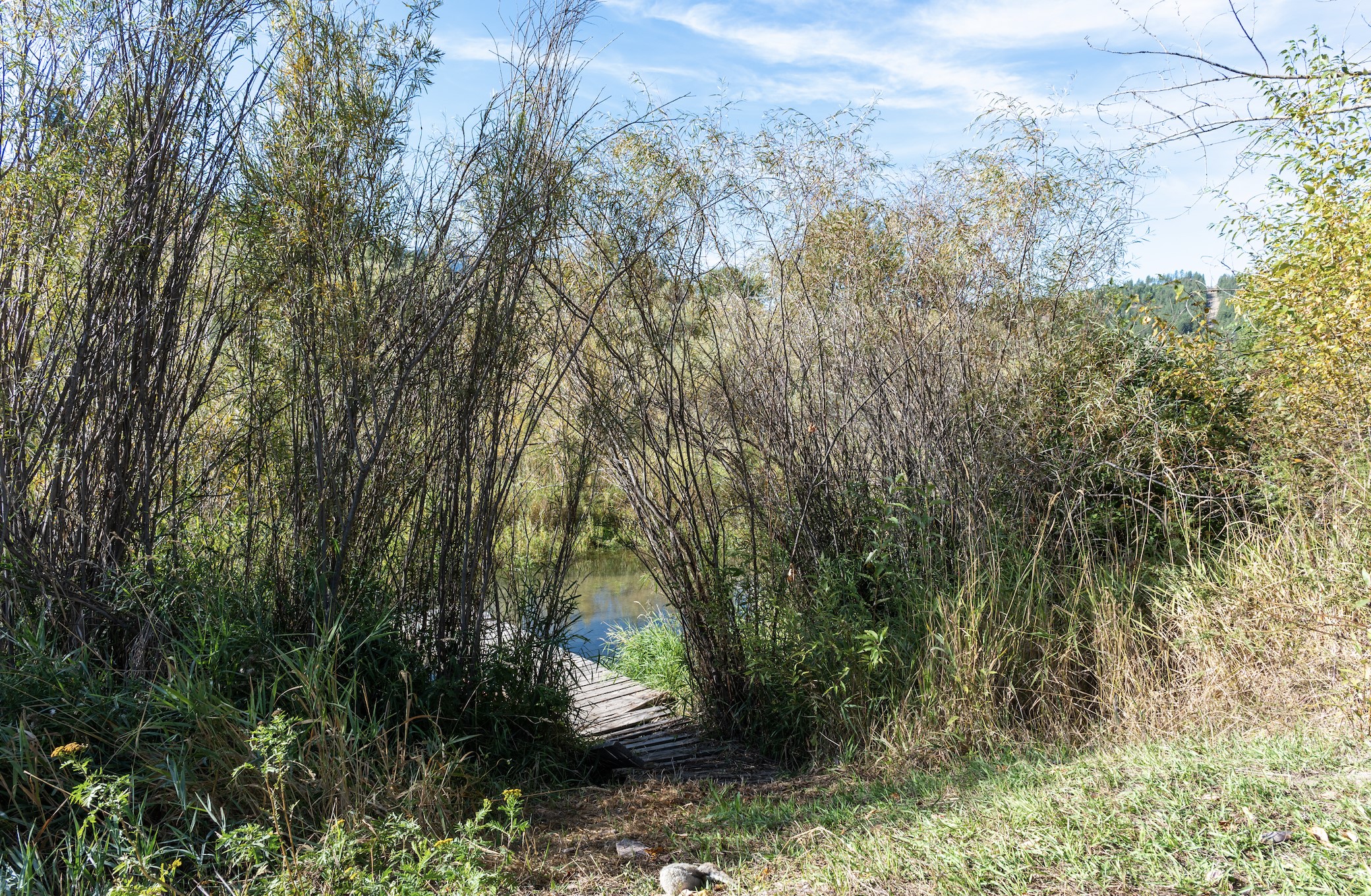 24751 Huson Road Property Photo 17