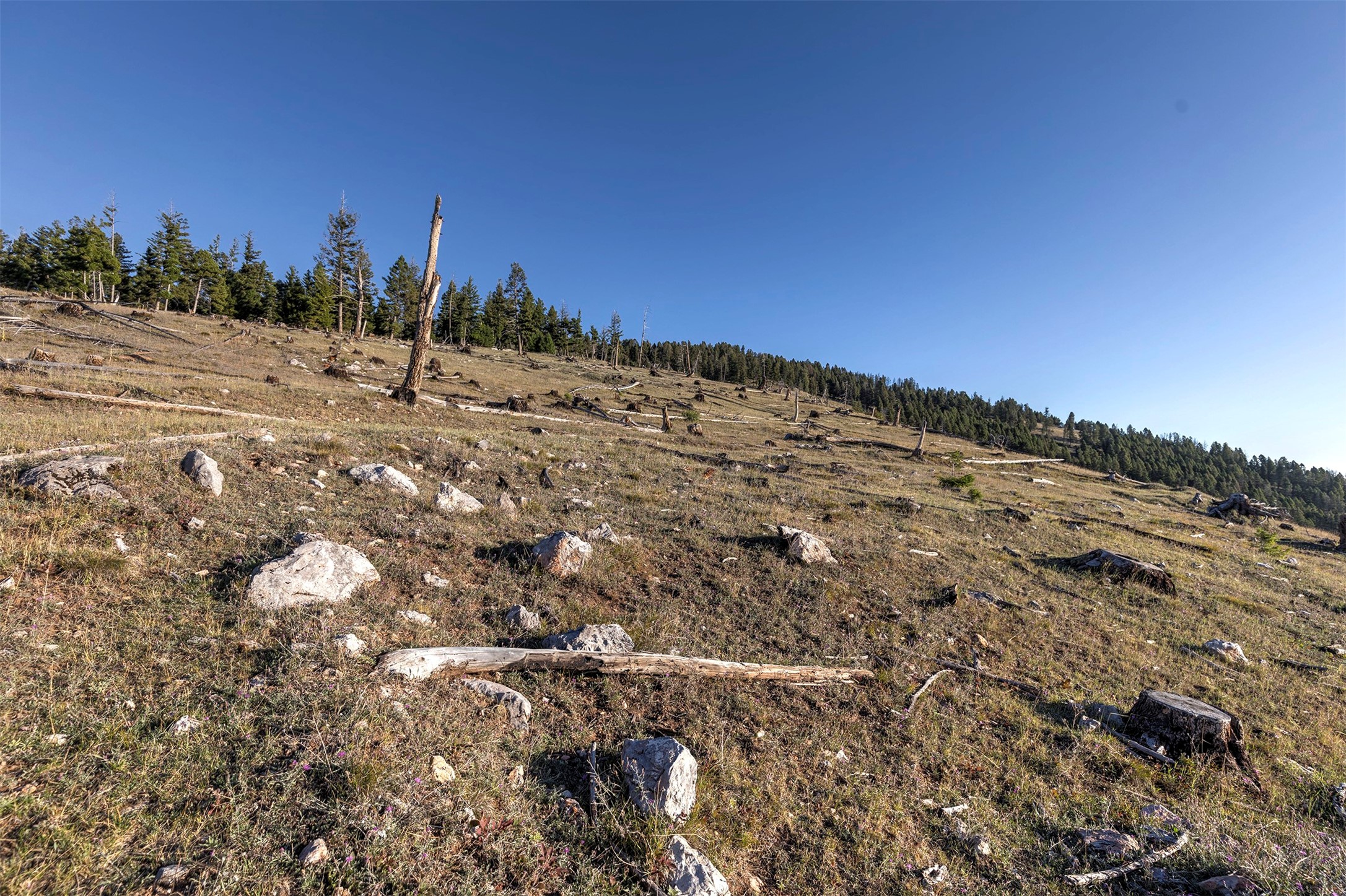 Nhn Bearmouth Ranch Property Photo 32