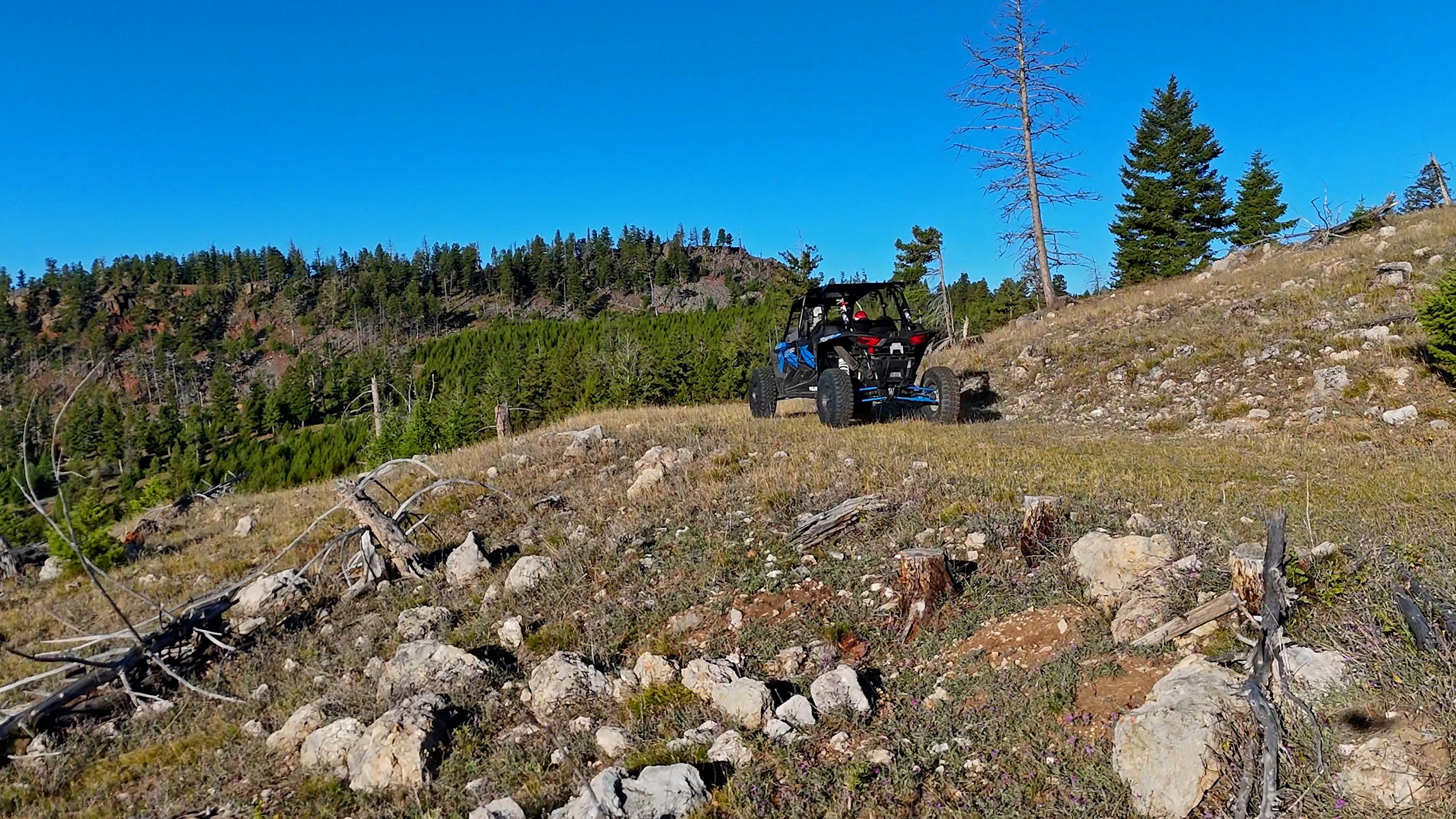 Nhn Bearmouth Ranch Property Photo 33