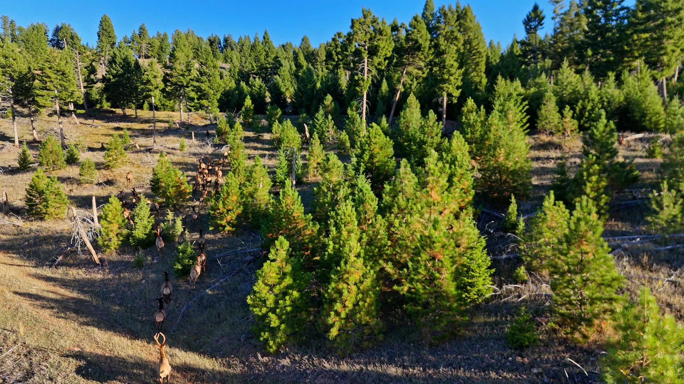 Nhn Bearmouth Ranch Property Photo 41