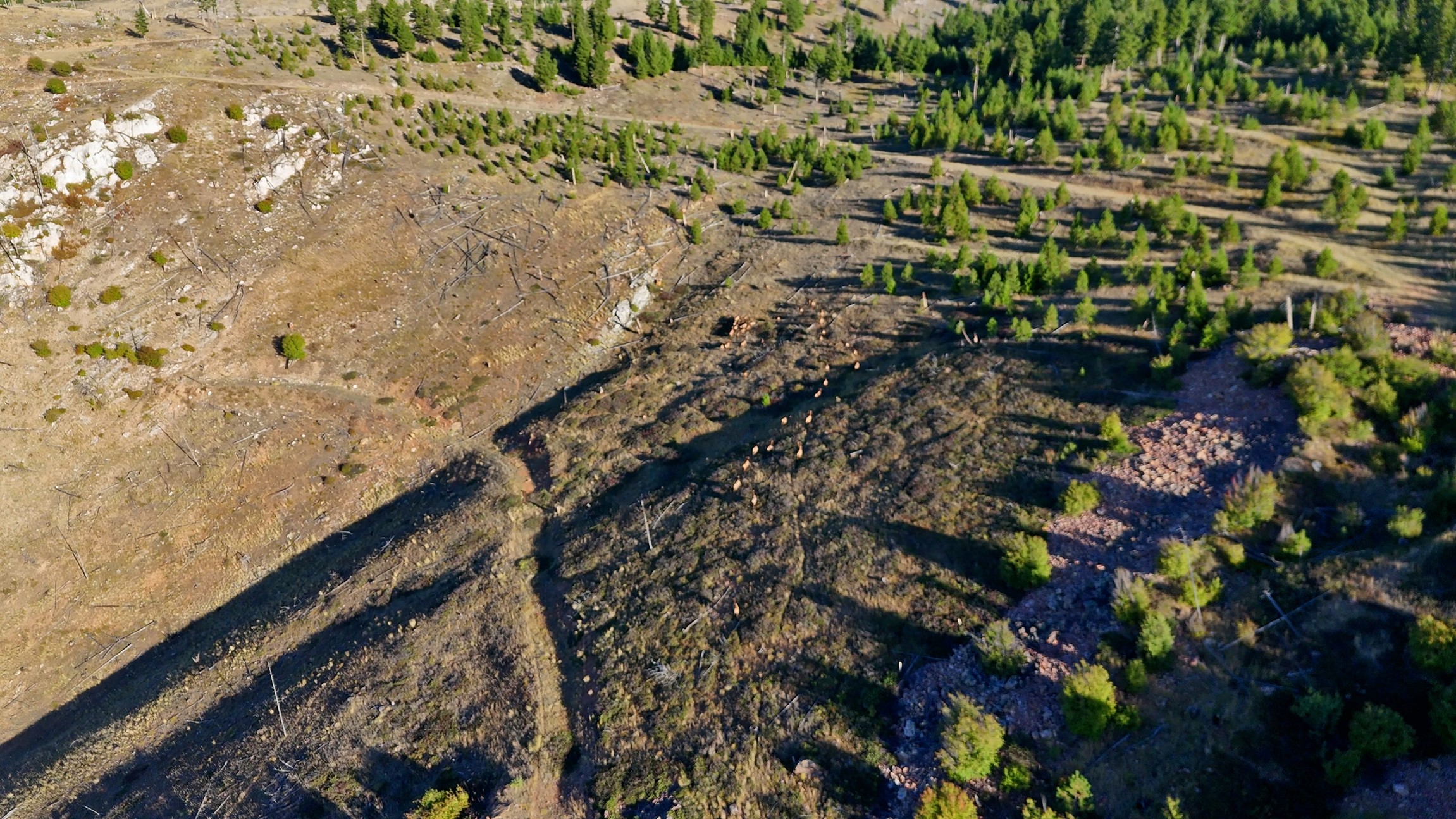 Nhn Bearmouth Ranch Property Photo 45