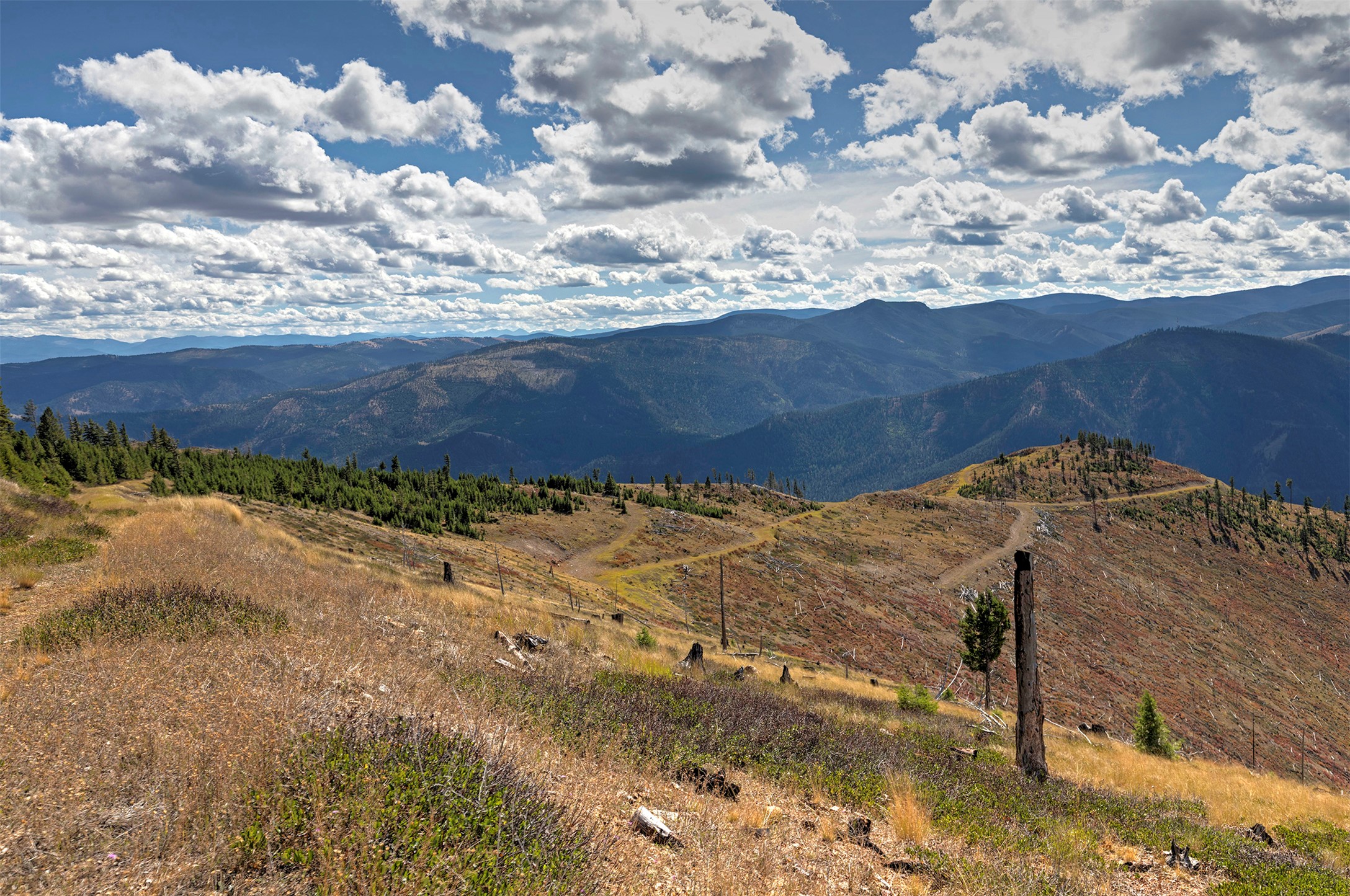 Nhn Bearmouth Ranch Property Photo 53