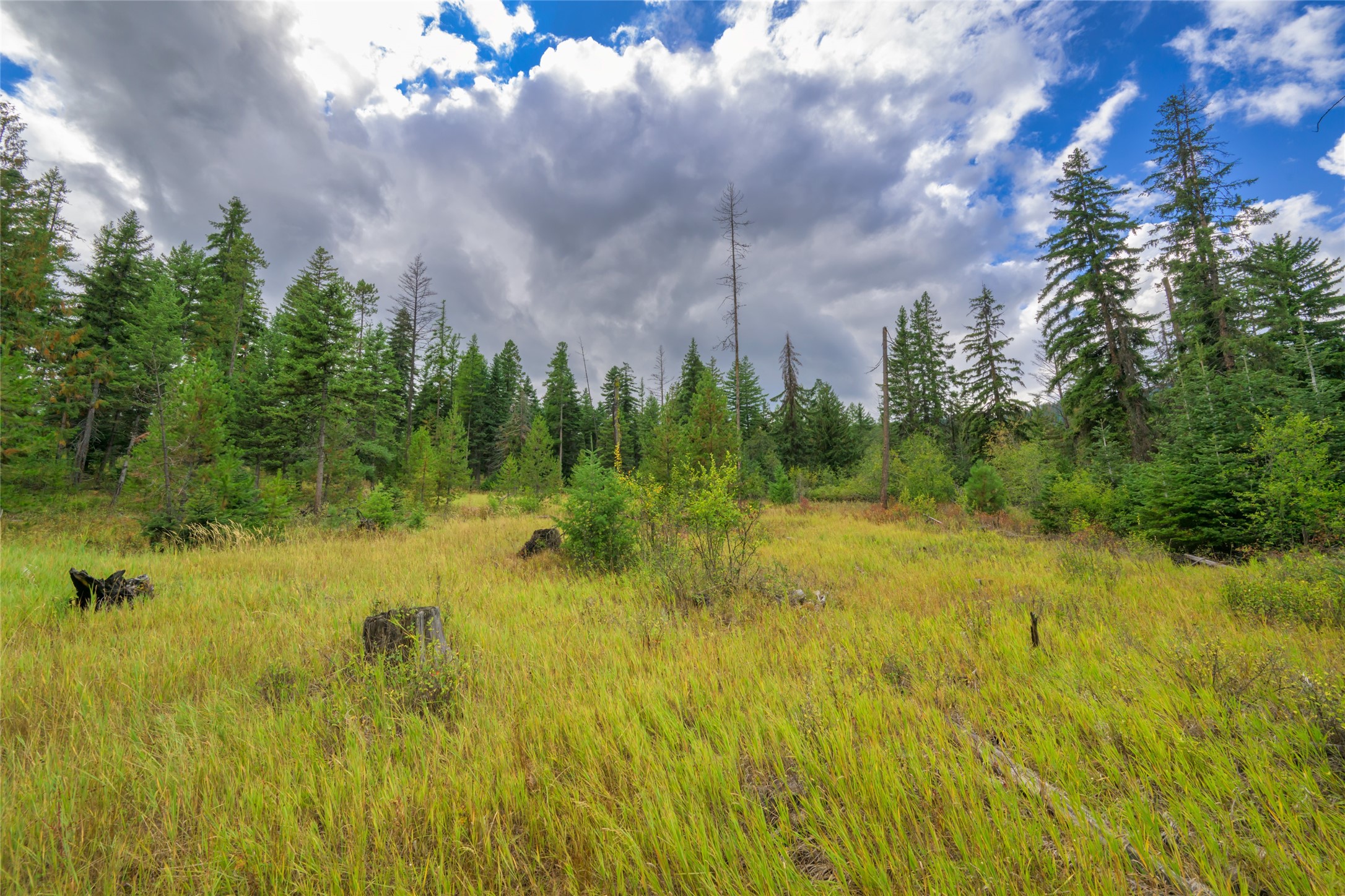 1076 Grizzly Mountain Road Property Photo 37