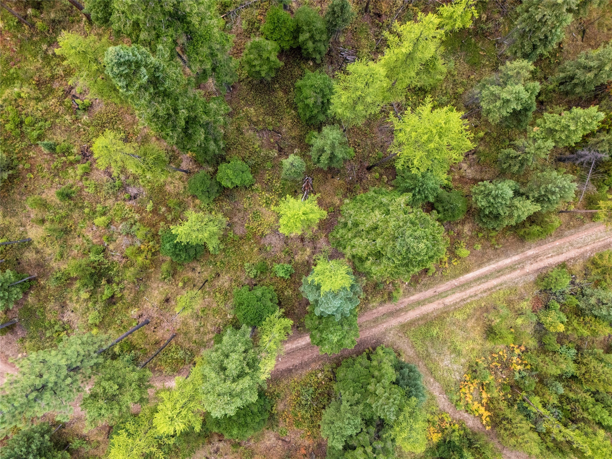 1076 Grizzly Mountain Road Property Photo 38