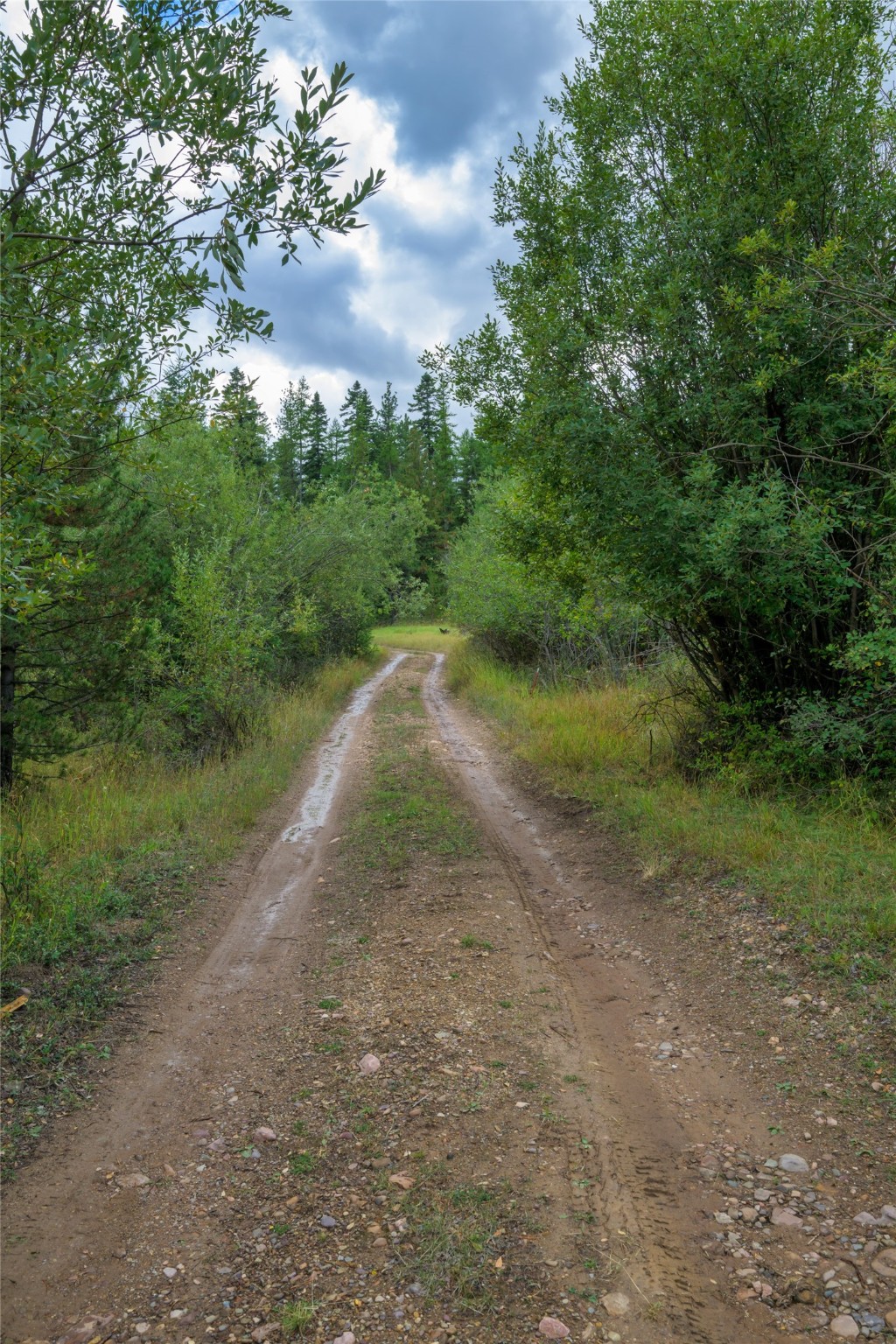 1076 Grizzly Mountain Road Property Photo 39
