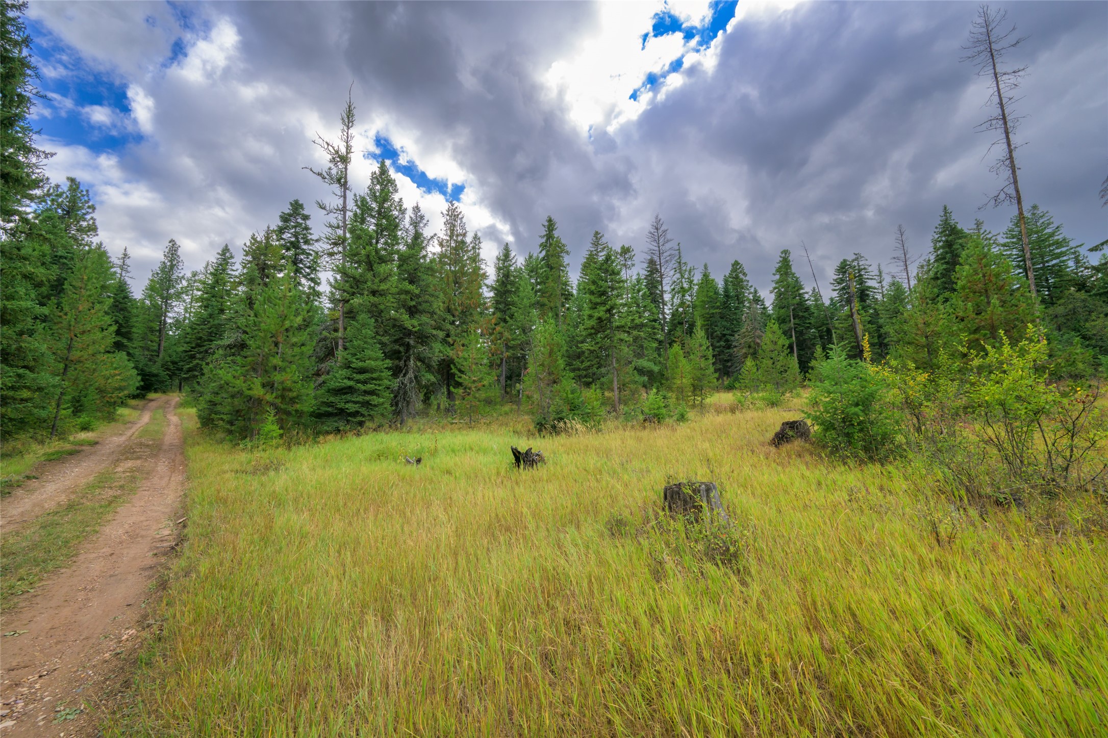 1076 Grizzly Mountain Road Property Photo 40