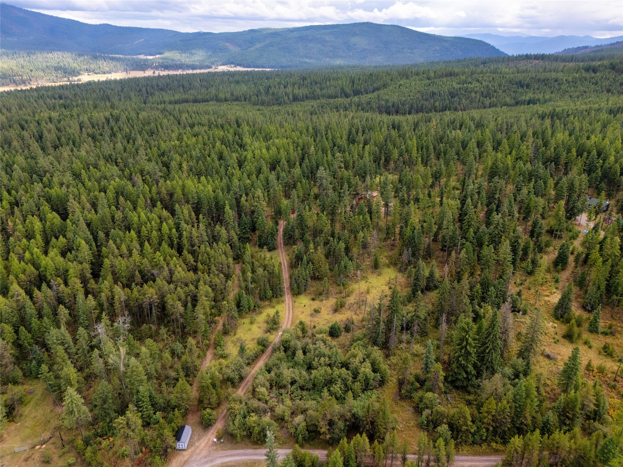 1076 Grizzly Mountain Road Property Photo 41