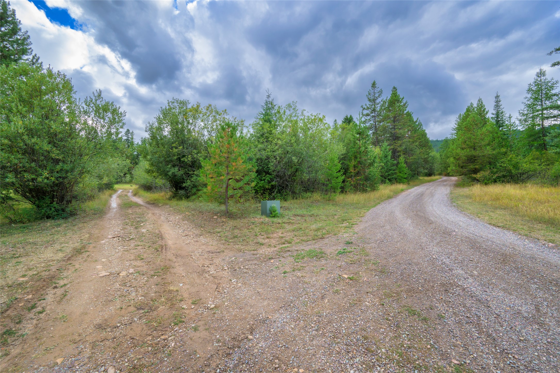1076 Grizzly Mountain Road Property Photo 43