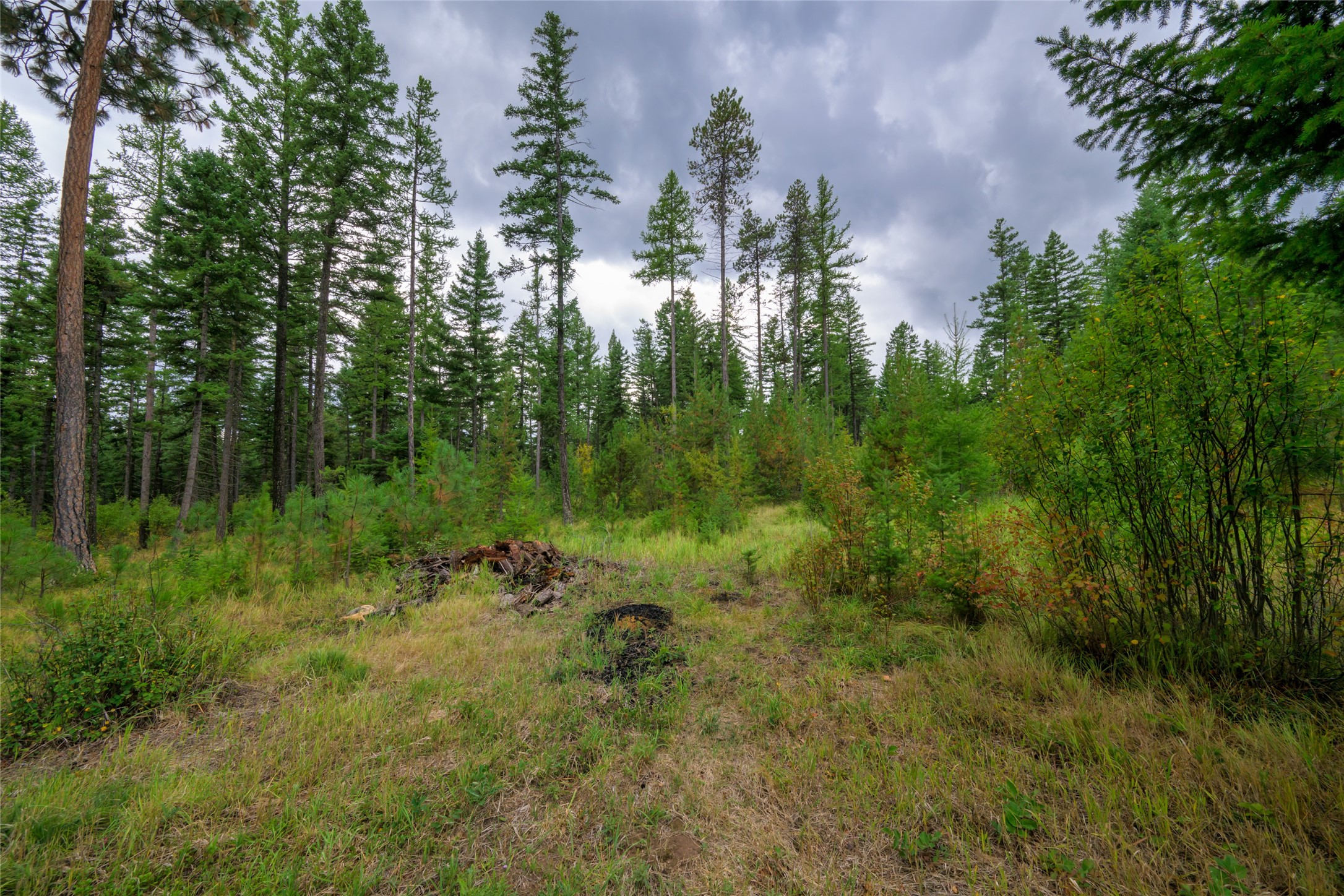 1076 Grizzly Mountain Road Property Photo 45