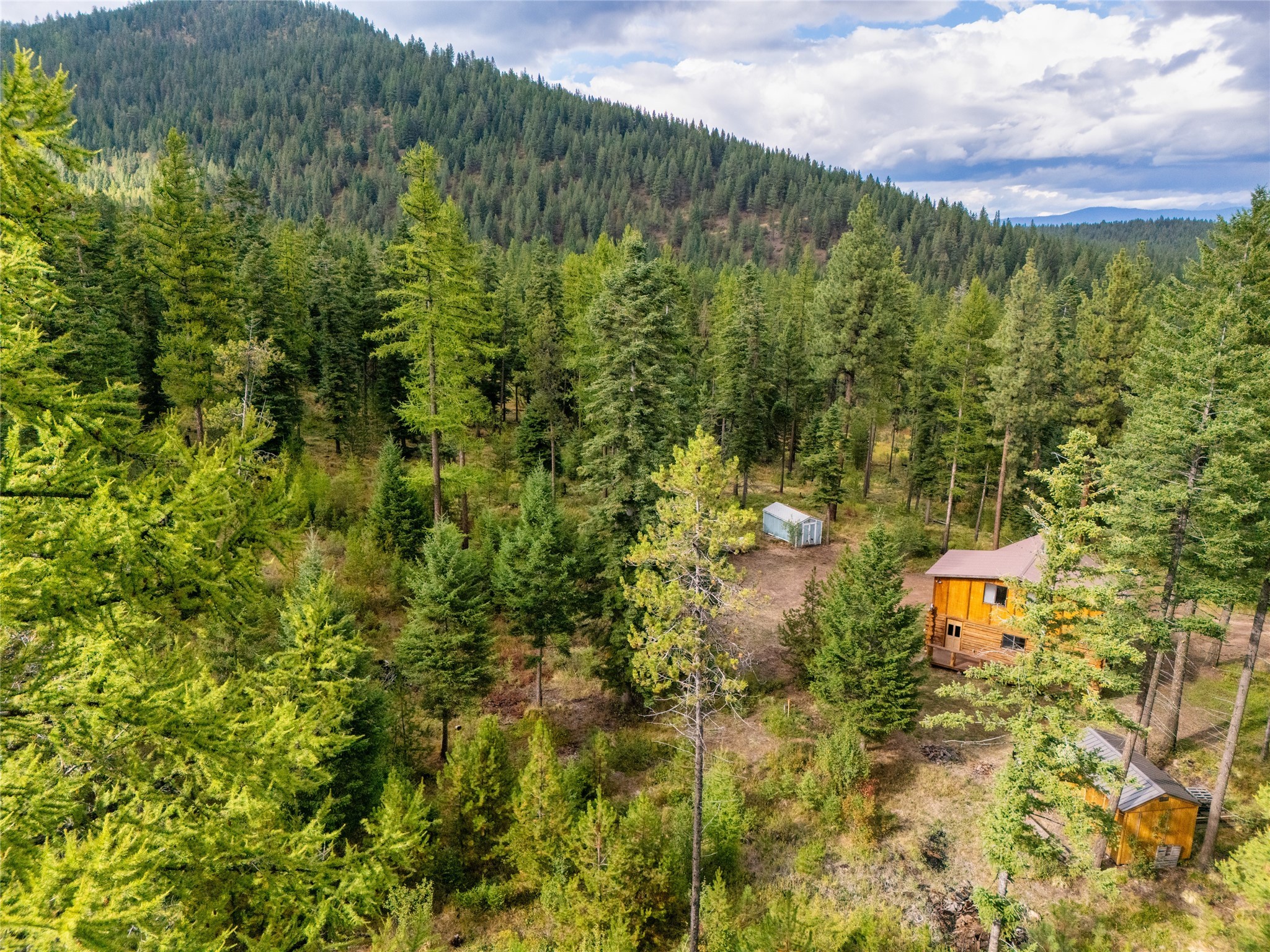 1076 Grizzly Mountain Road Property Photo 49