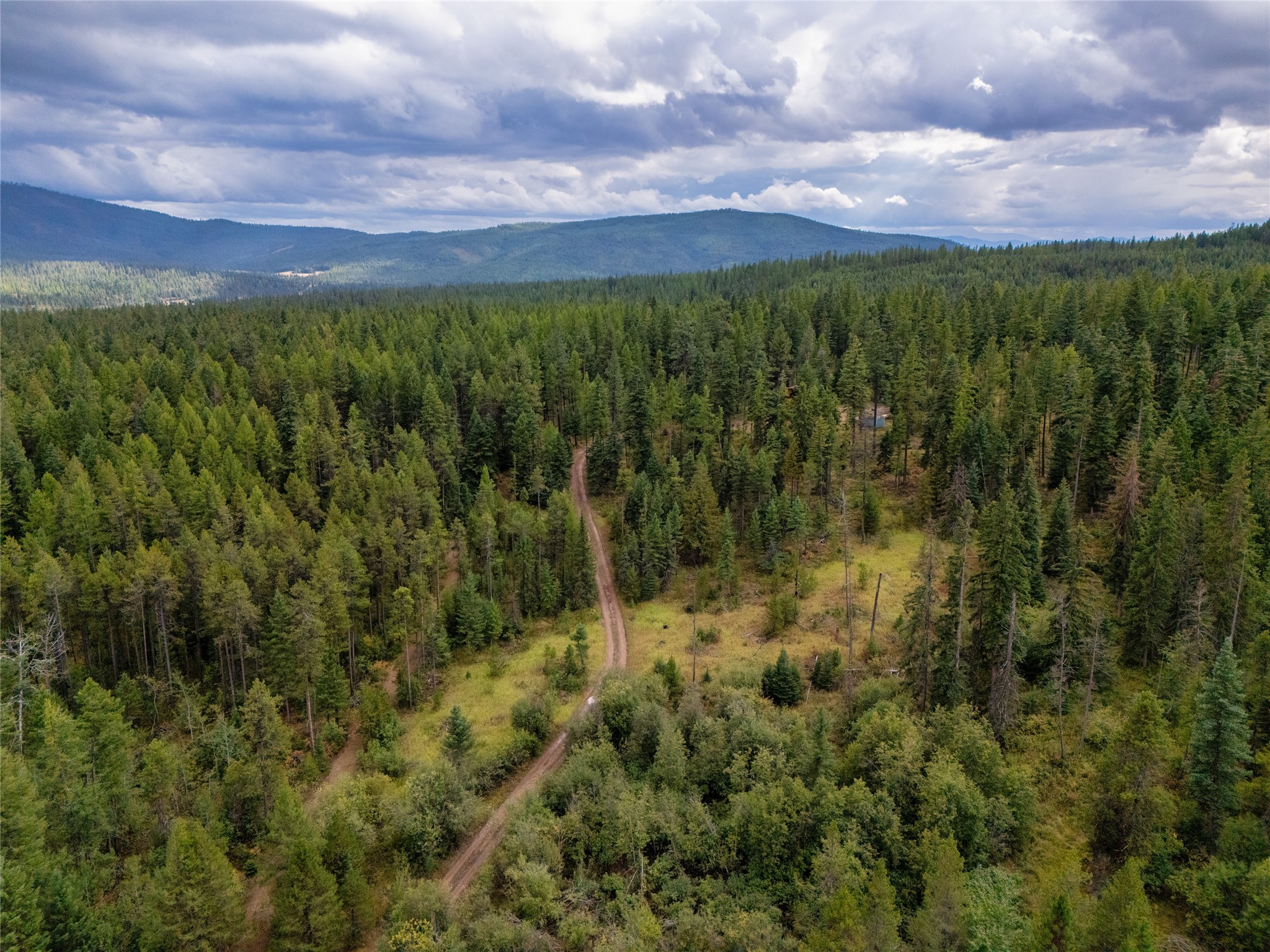 1076 Grizzly Mountain Road Property Photo 50
