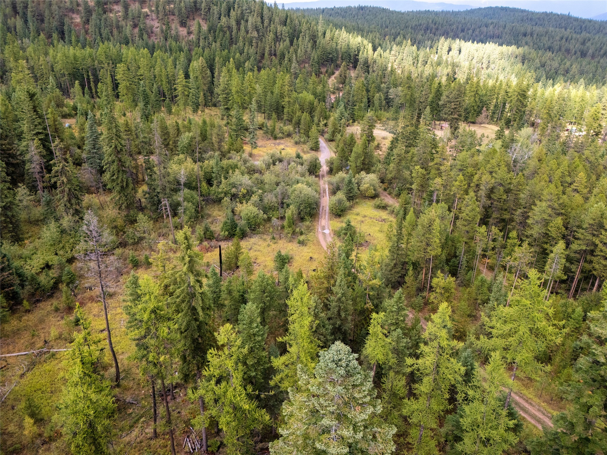 1076 Grizzly Mountain Road Property Photo 53