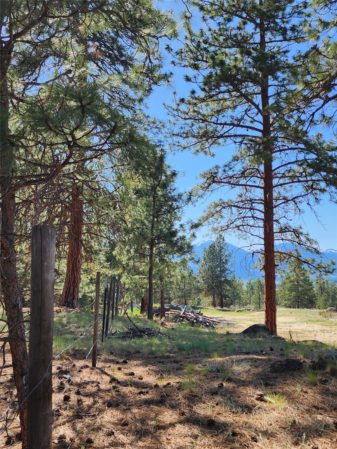 837 Home Run Road Property Photo 16