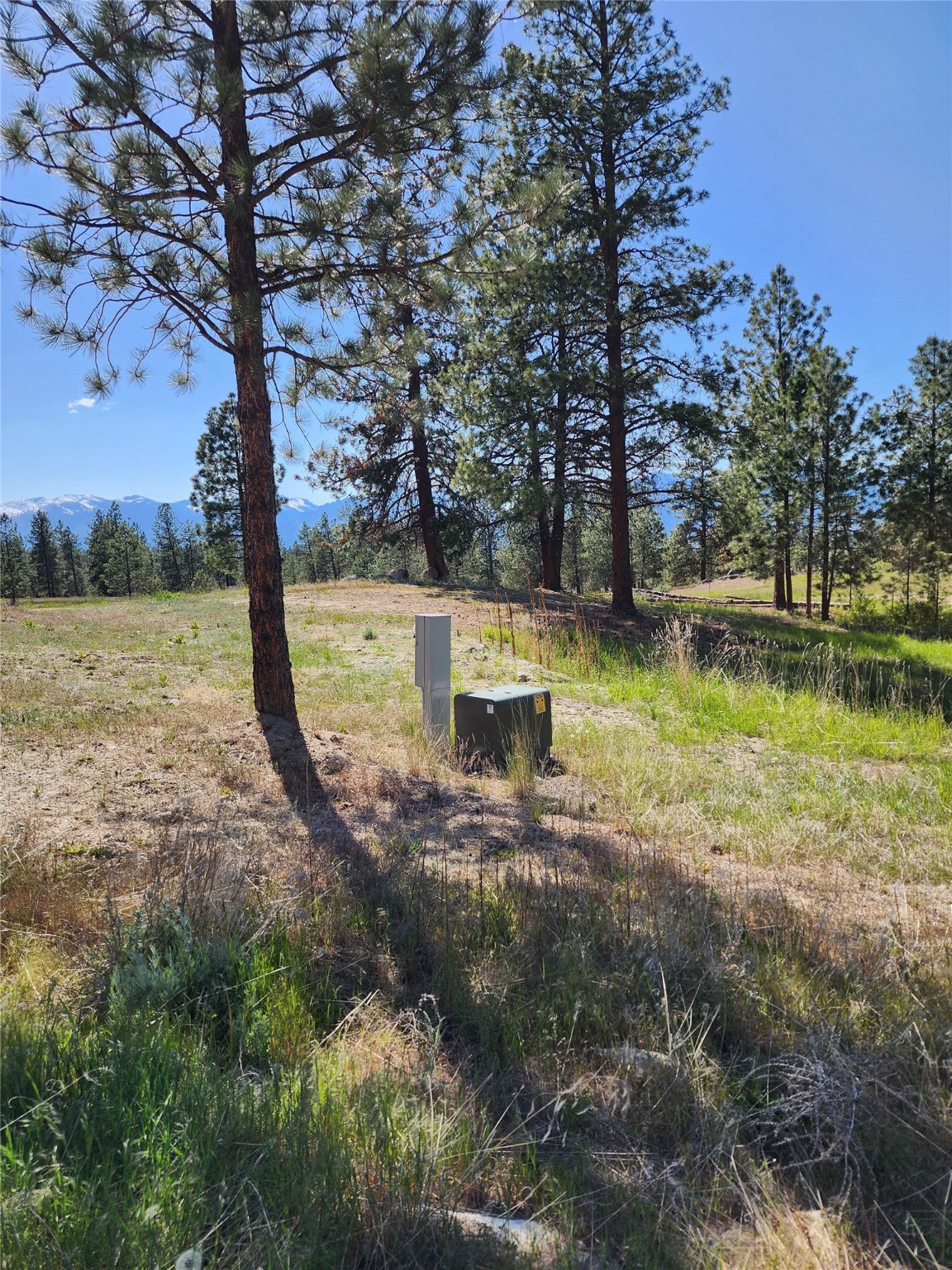 837 Home Run Road Property Photo 18