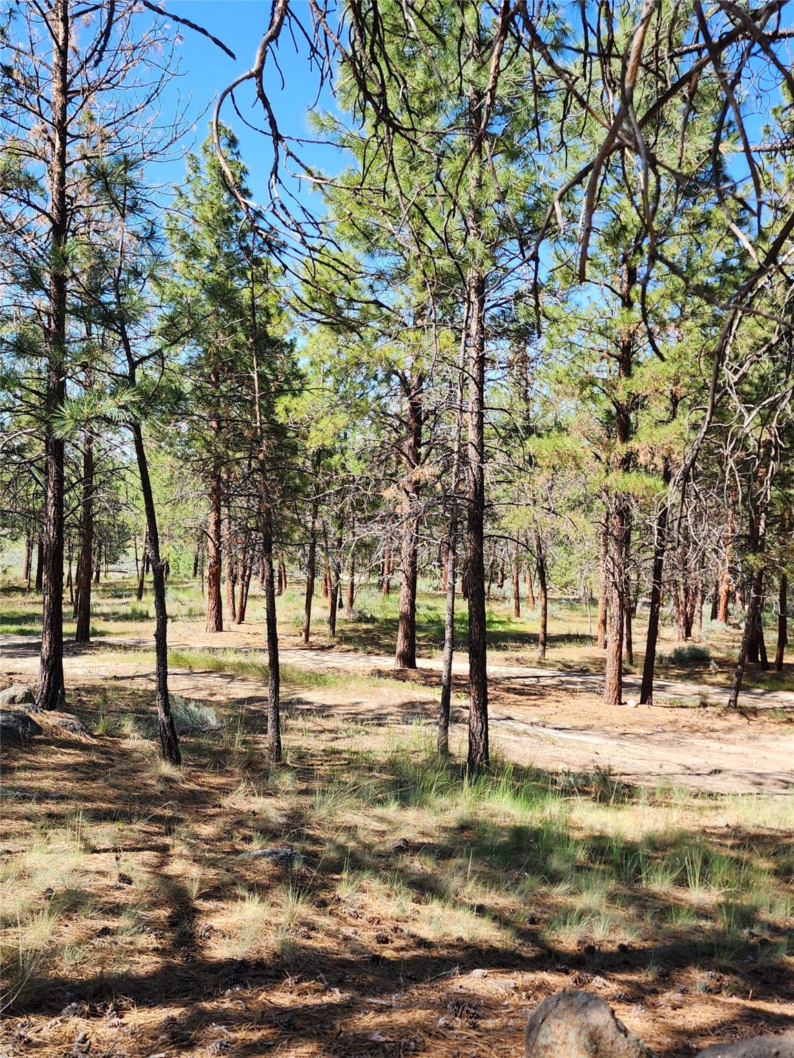 837 Home Run Road Property Photo 20