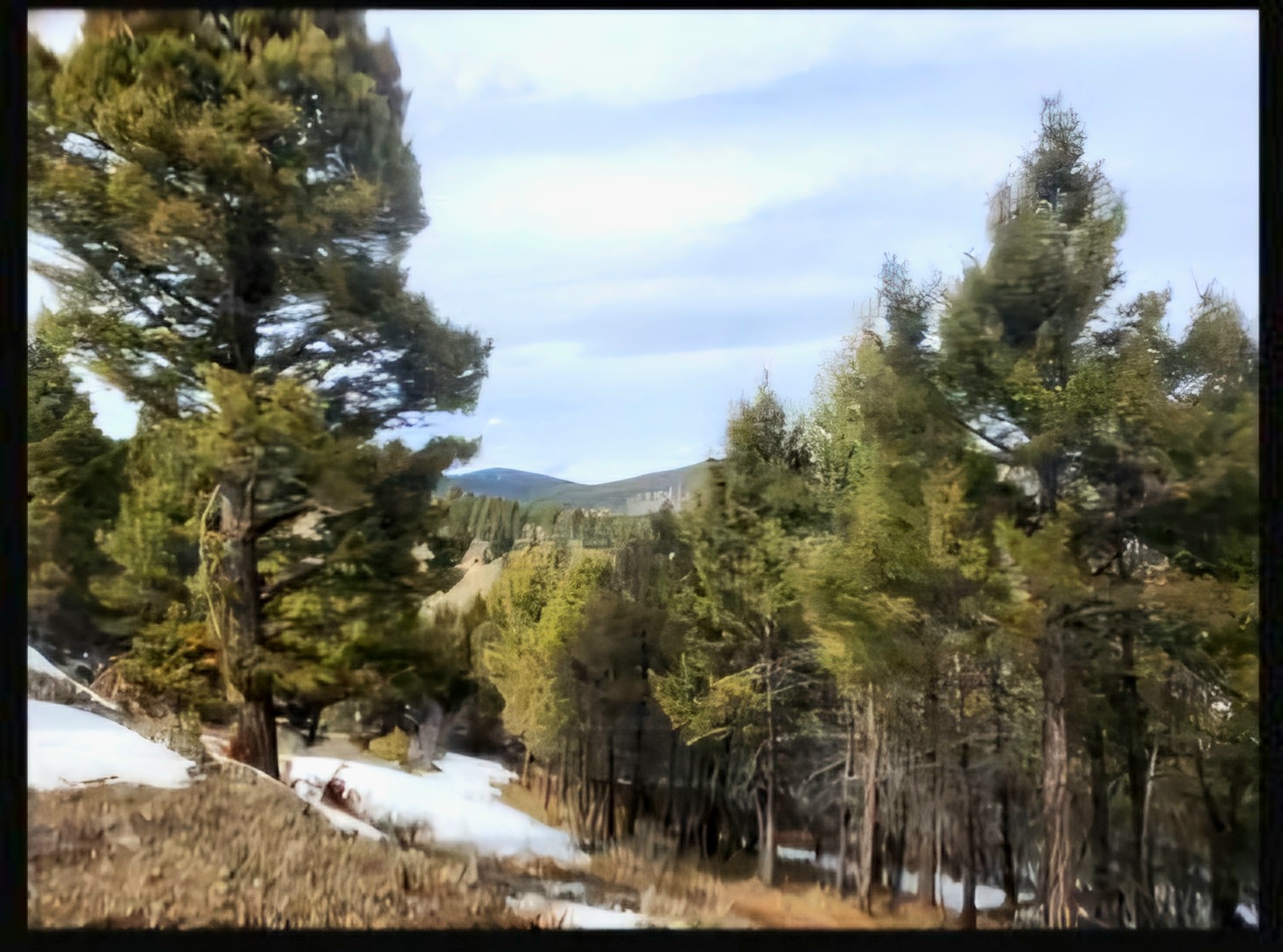 Tbd Copper Cross #3969, Moffett Gulch Road Property Photo