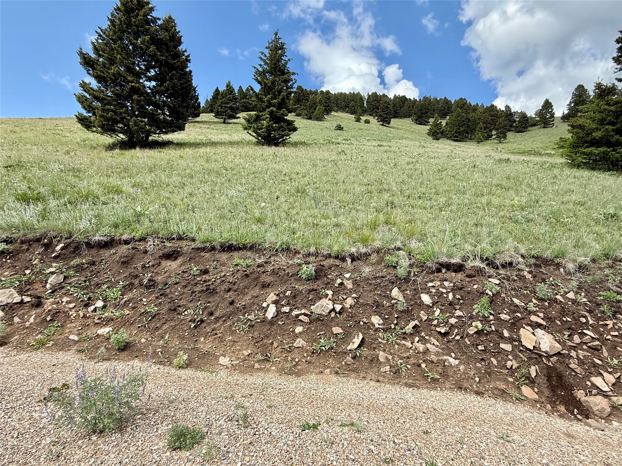 Tbd Scranton Lode Lot 2 Ms 3667 Road Property Photo 5