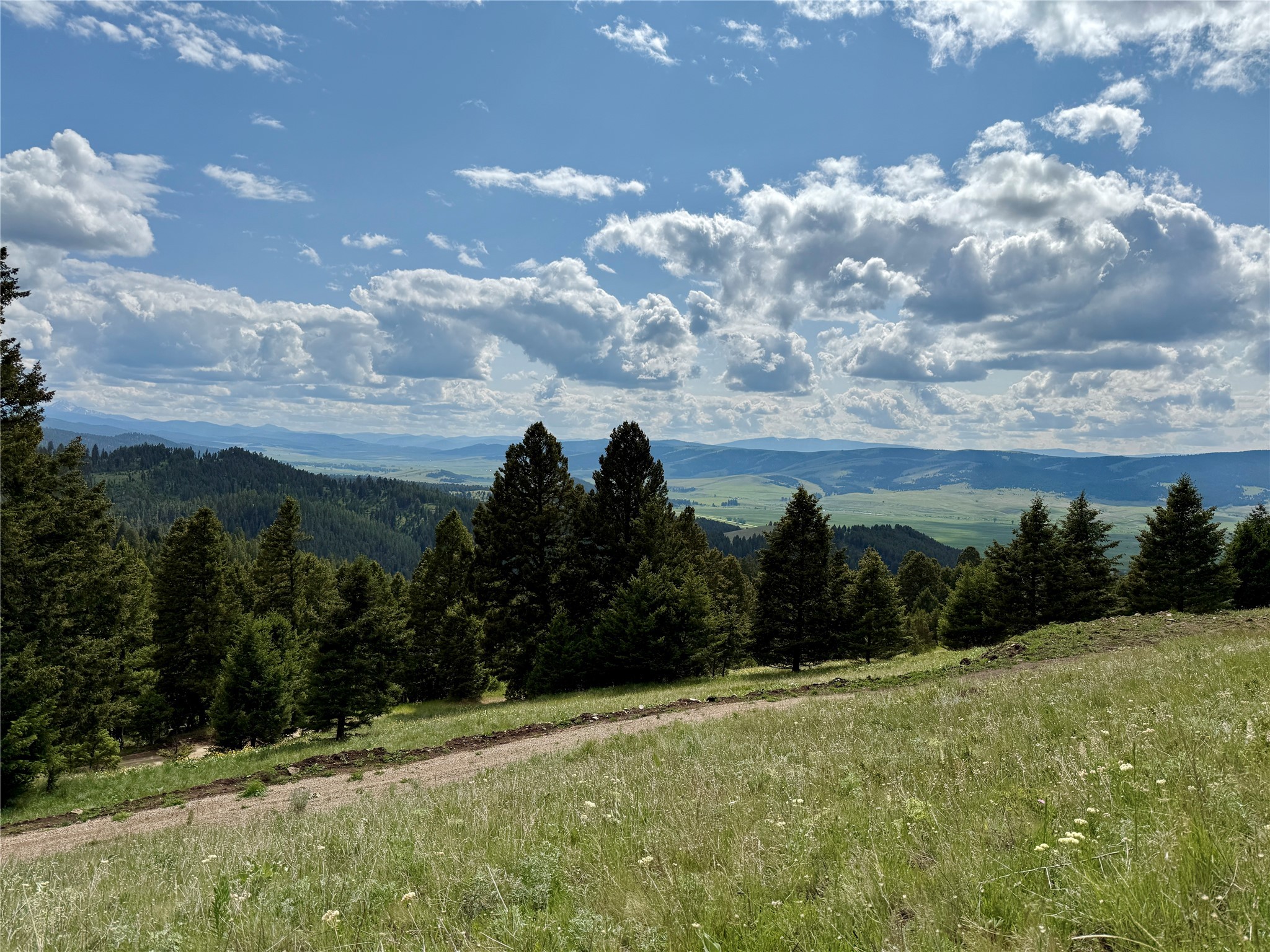 Tbd Scranton Lode Lot 2 Ms 3667 Road Property Photo 6
