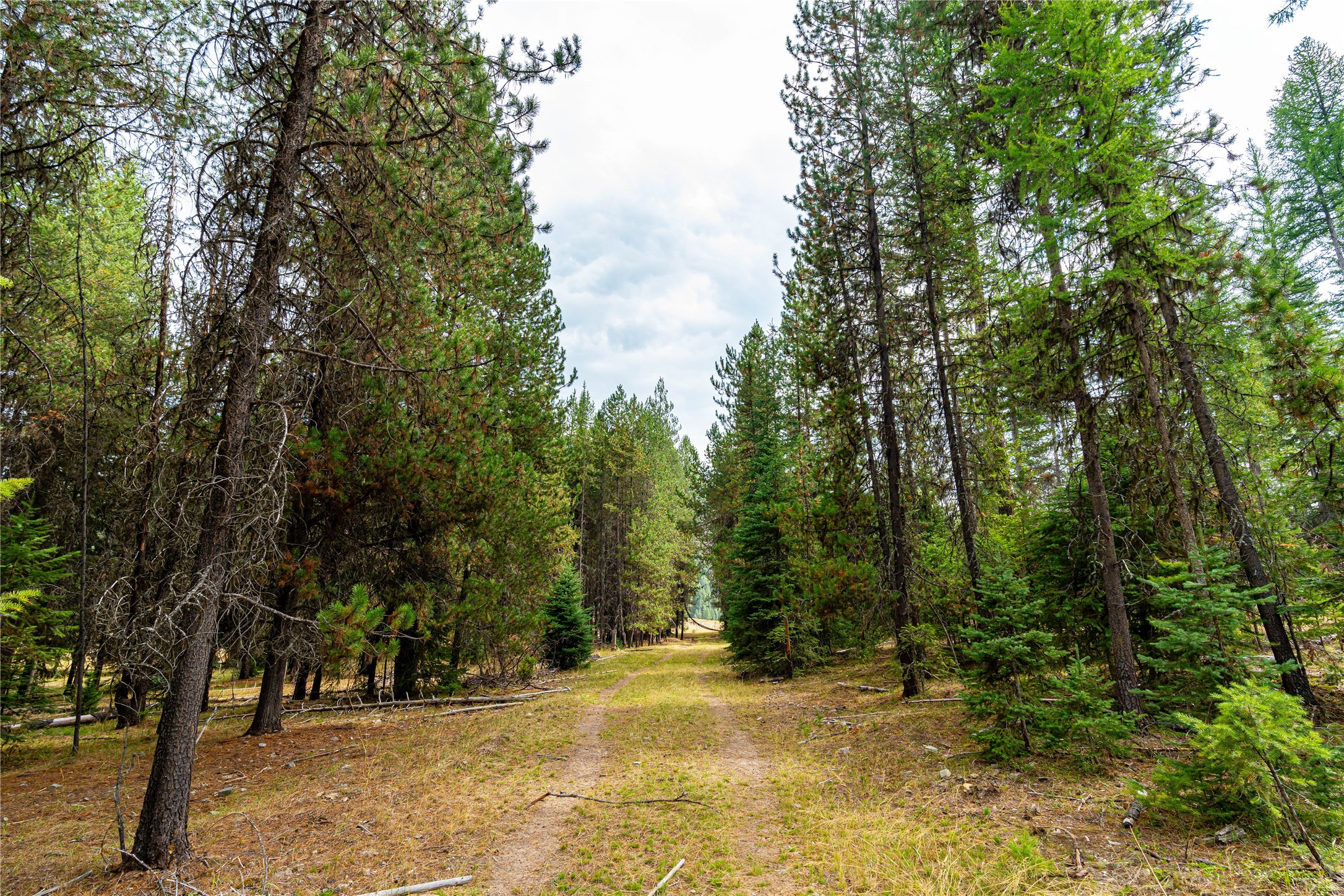 6820 E Fisher River Road Property Photo 16