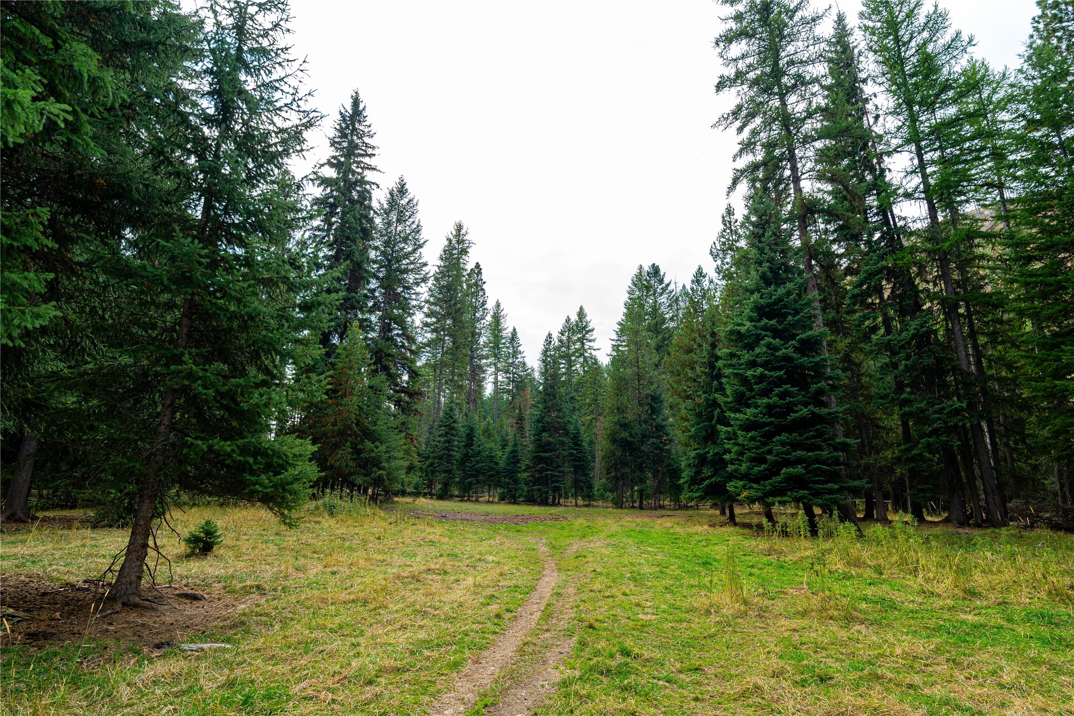 6820 E Fisher River Road Property Photo 17
