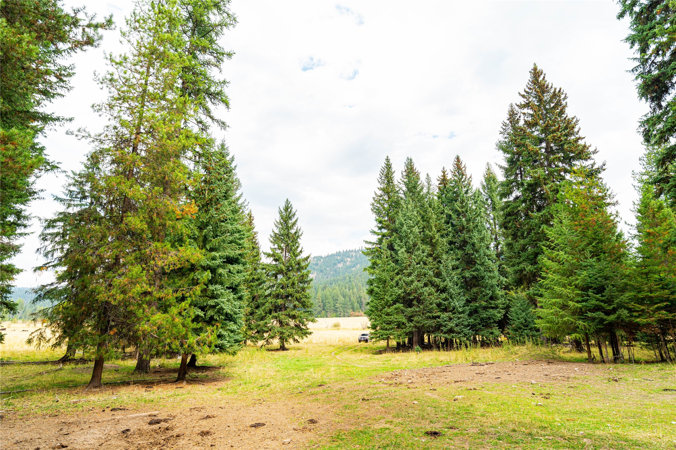 6820 E Fisher River Road Property Photo 31