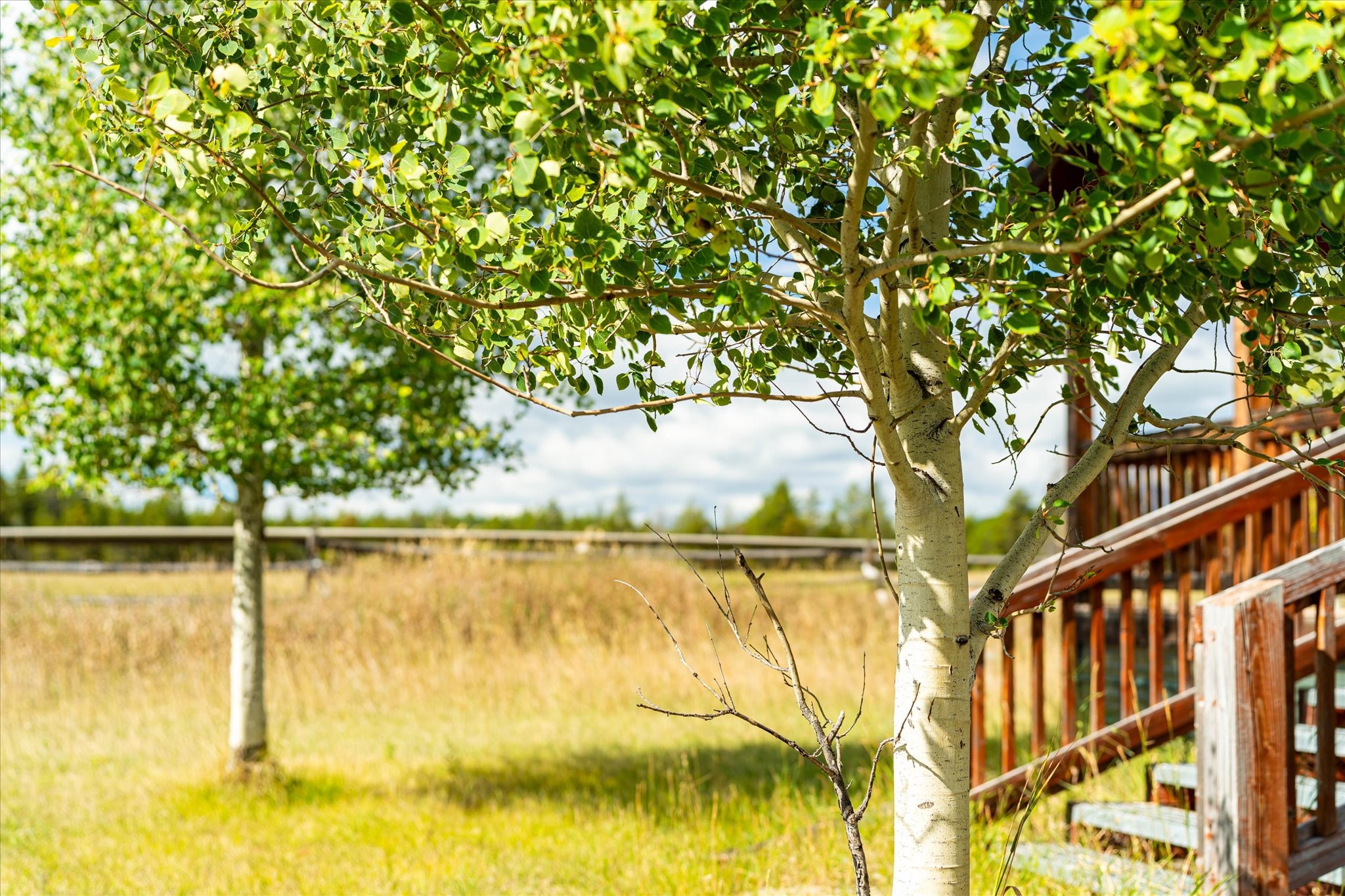200 Hubbart Dam Road Property Photo 48