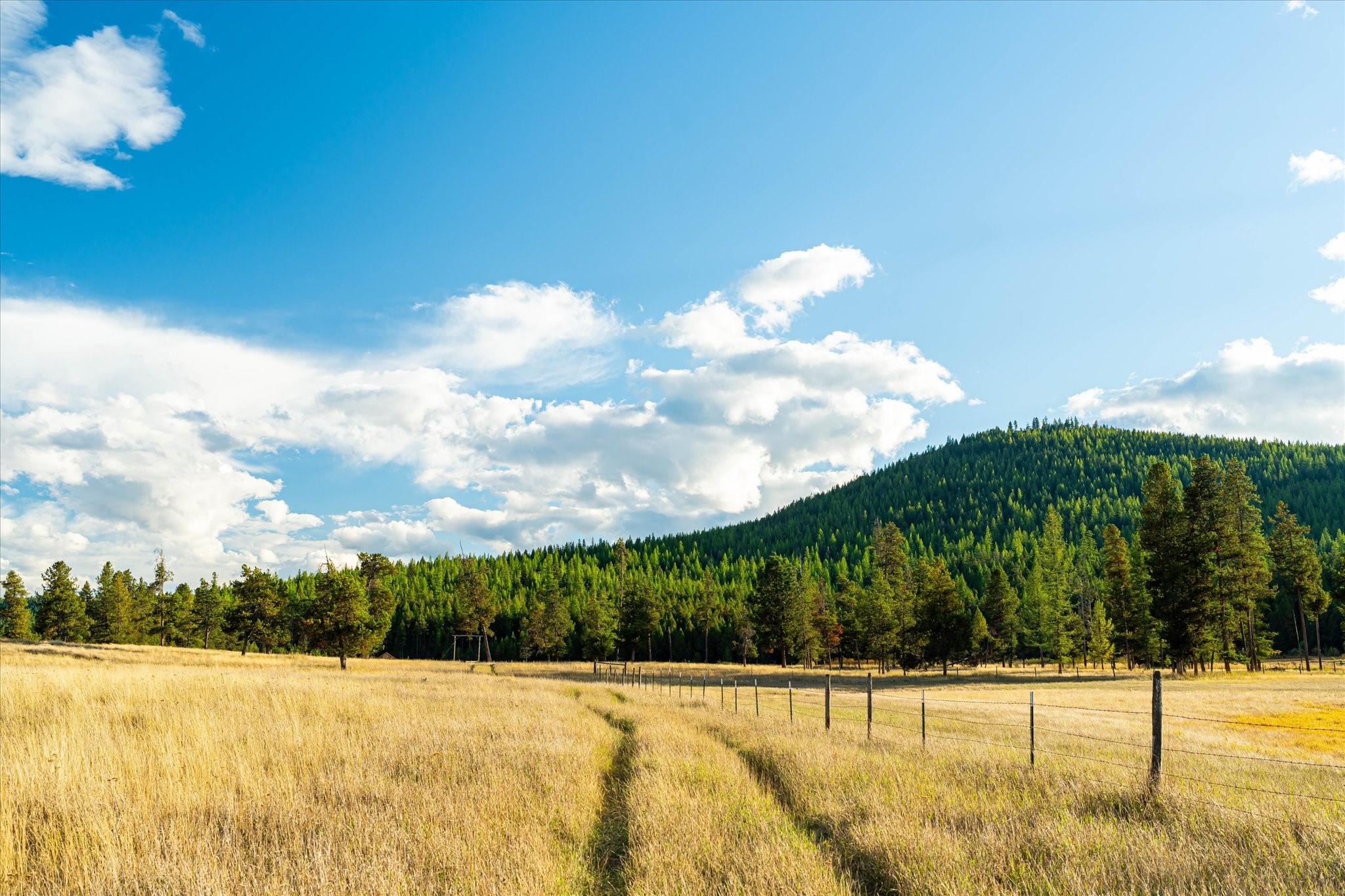 200 Hubbart Dam Road Property Photo 171
