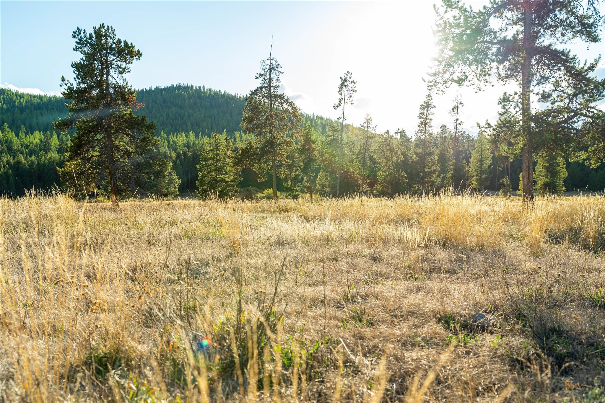 200 Hubbart Dam Road Property Photo 172