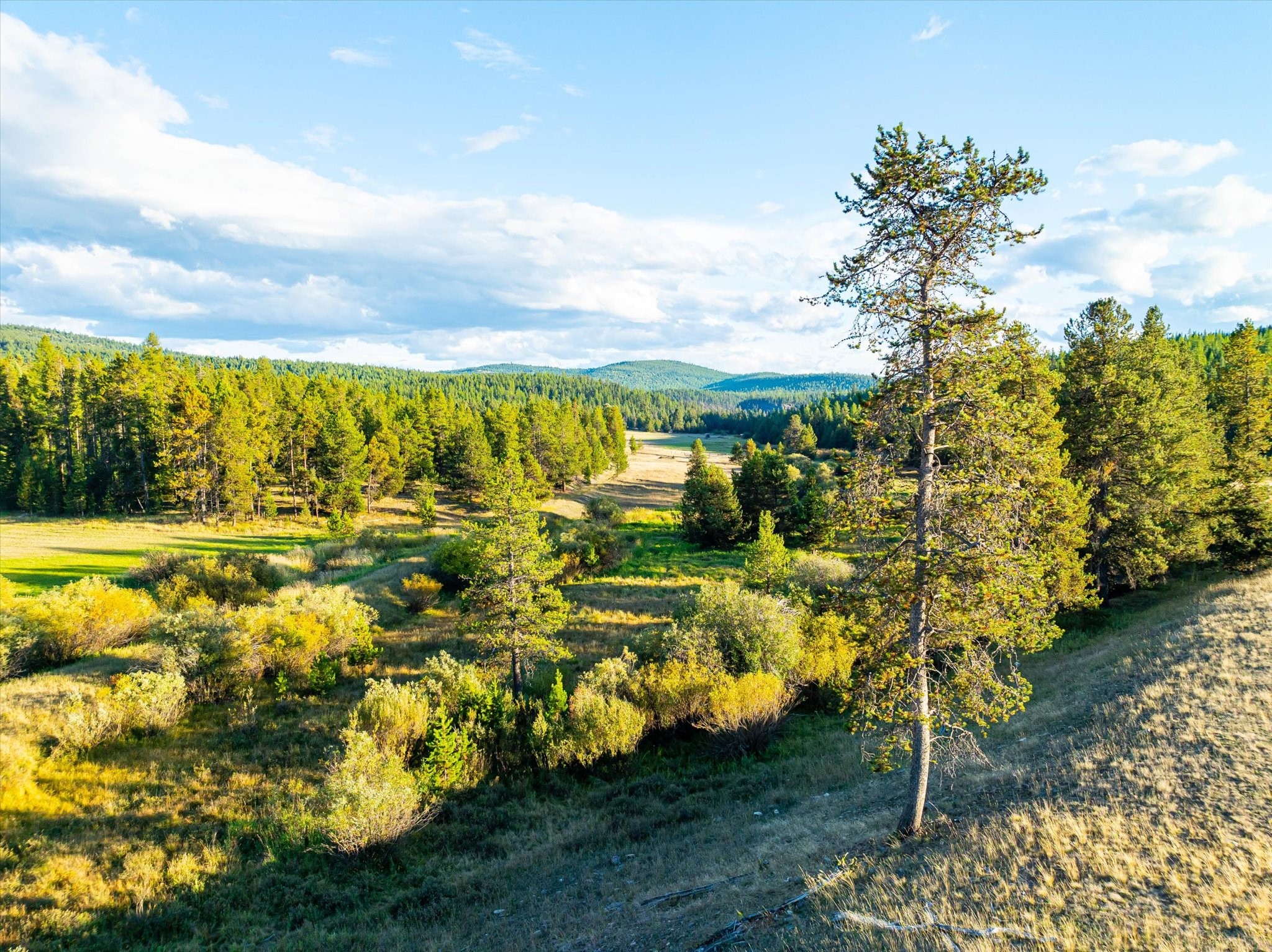 200 Hubbart Dam Road Property Photo 183