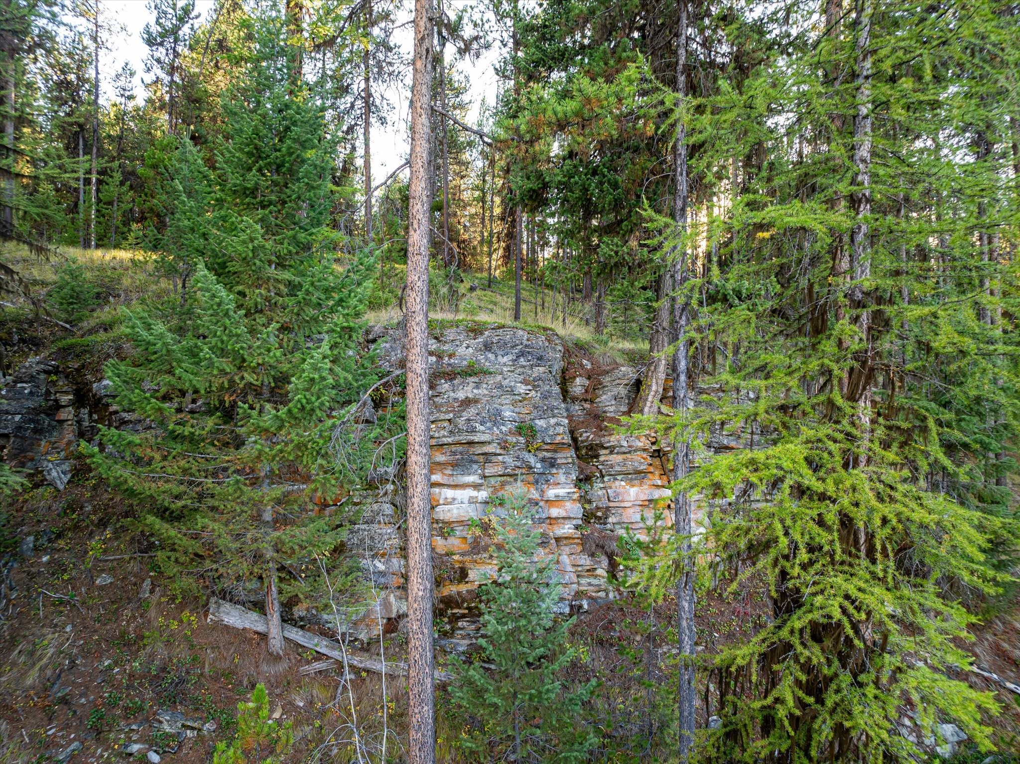 200 Hubbart Dam Road Property Photo 186