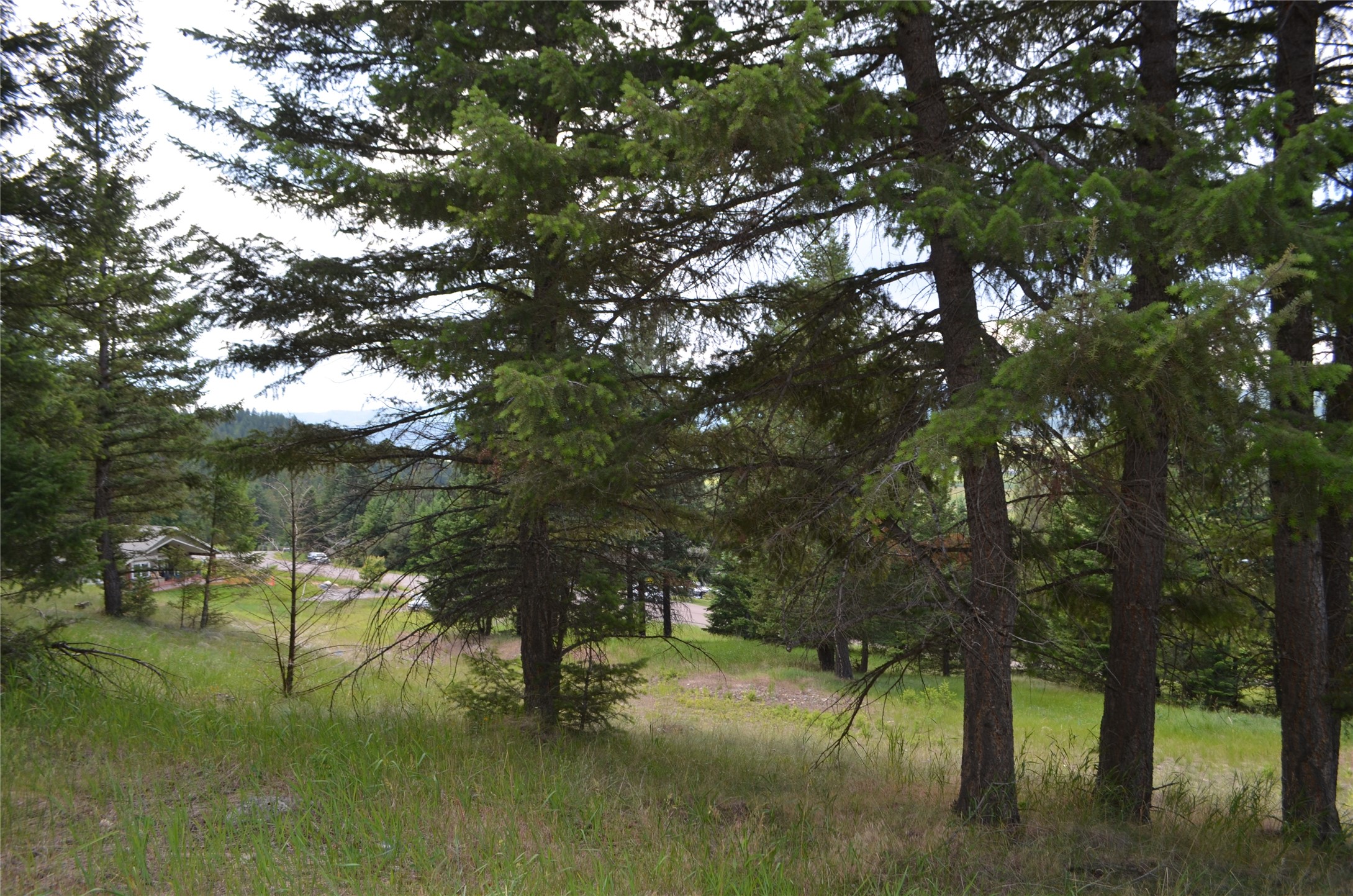 197 Walking Coyote Drive Property Photo