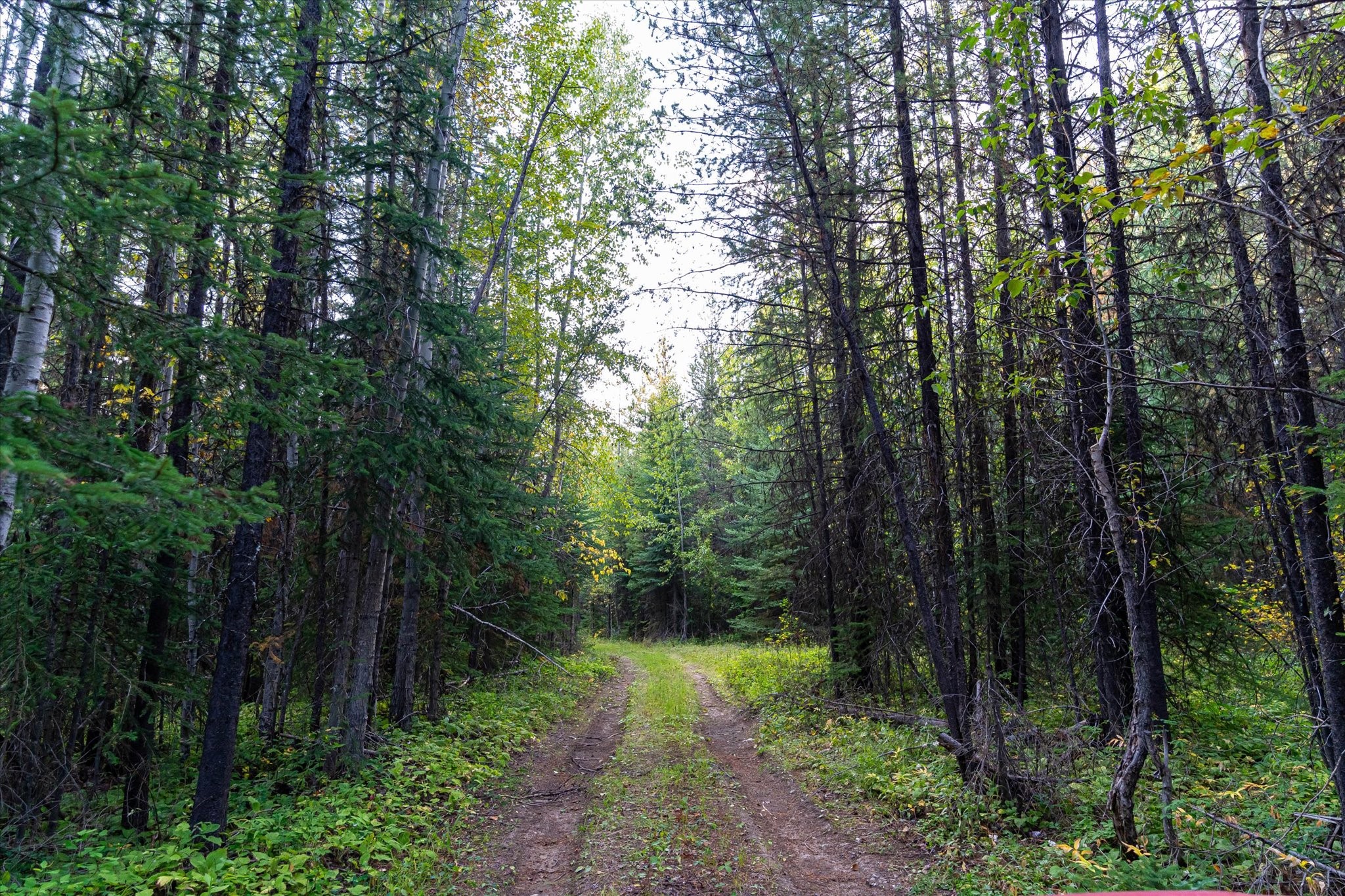 775 Trail Creek Road Property Photo