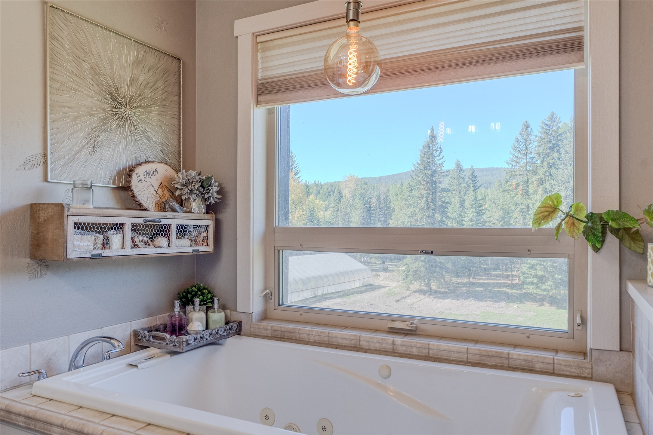 163 Soaring Eagle Trail Property Photo 48