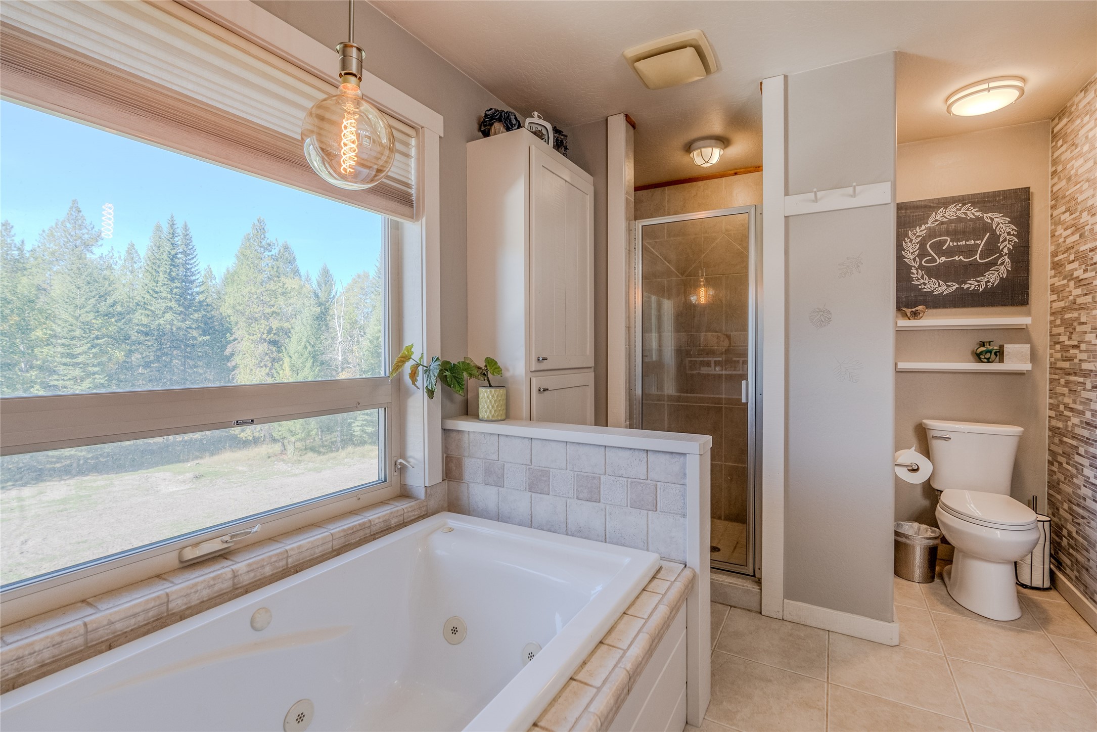 163 Soaring Eagle Trail Property Photo 49