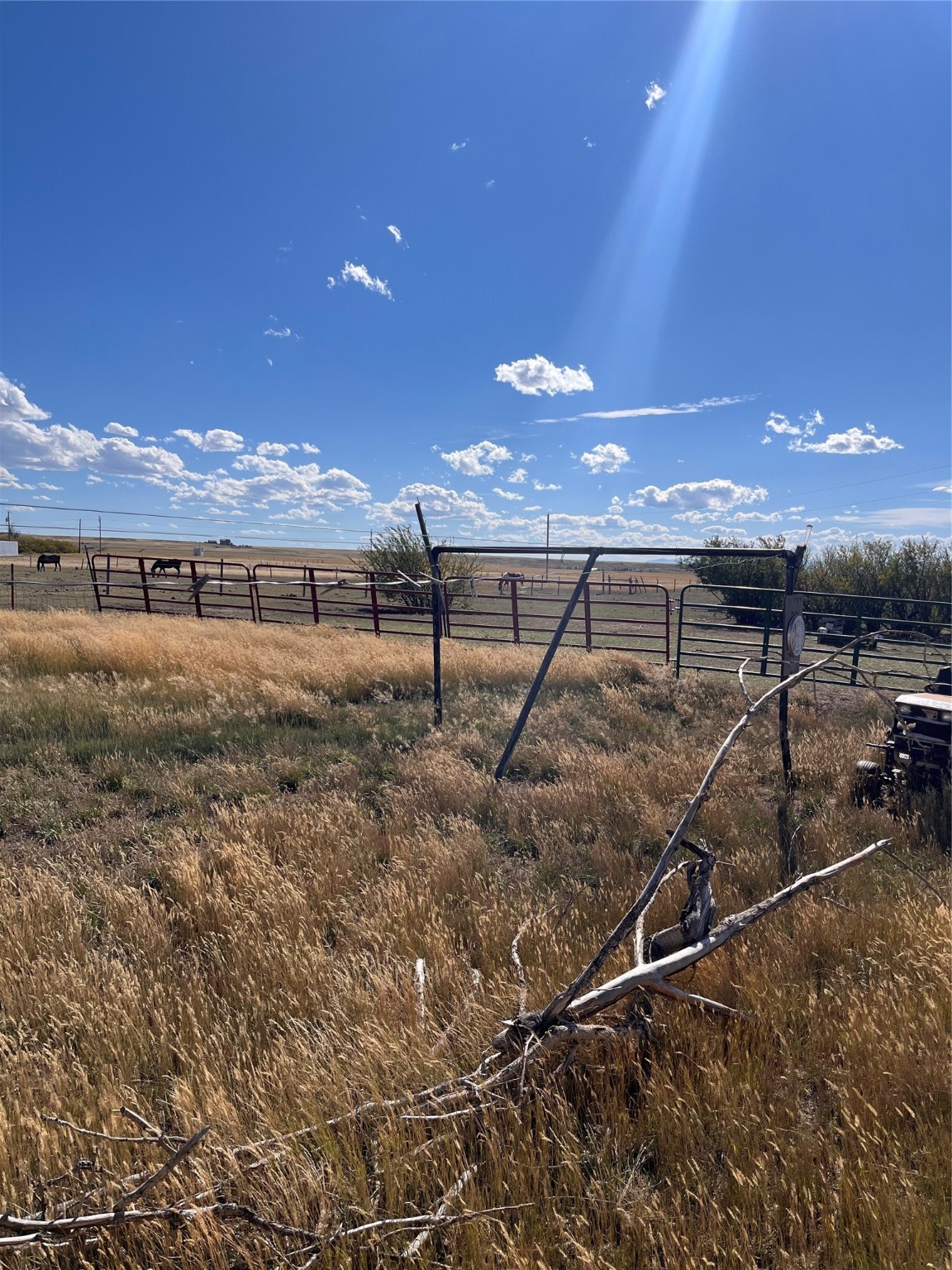 25796 Us Hwy 2 Property Photo 10