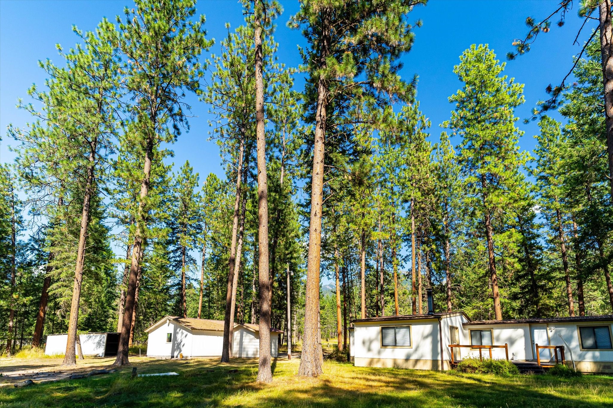 32310 Timberlane Road Property Photo 12