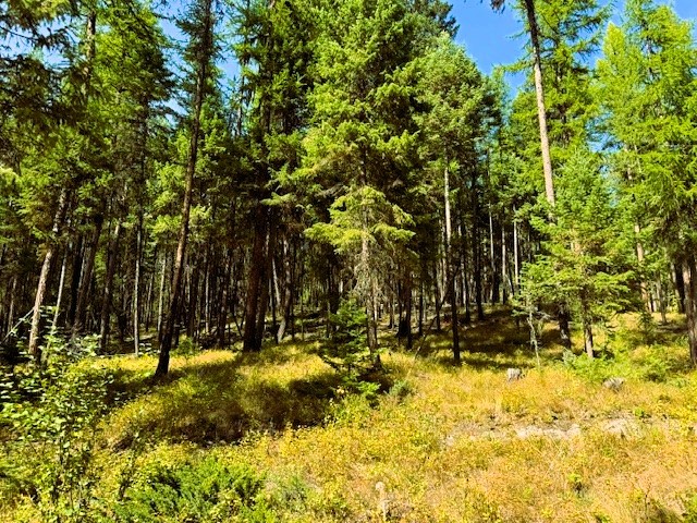 747 Beaver Lake Road Property Photo 1