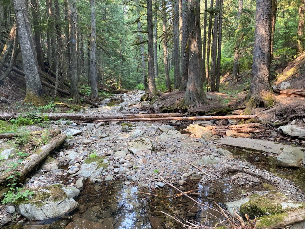 1876 Timber Creek Road Property Photo 4