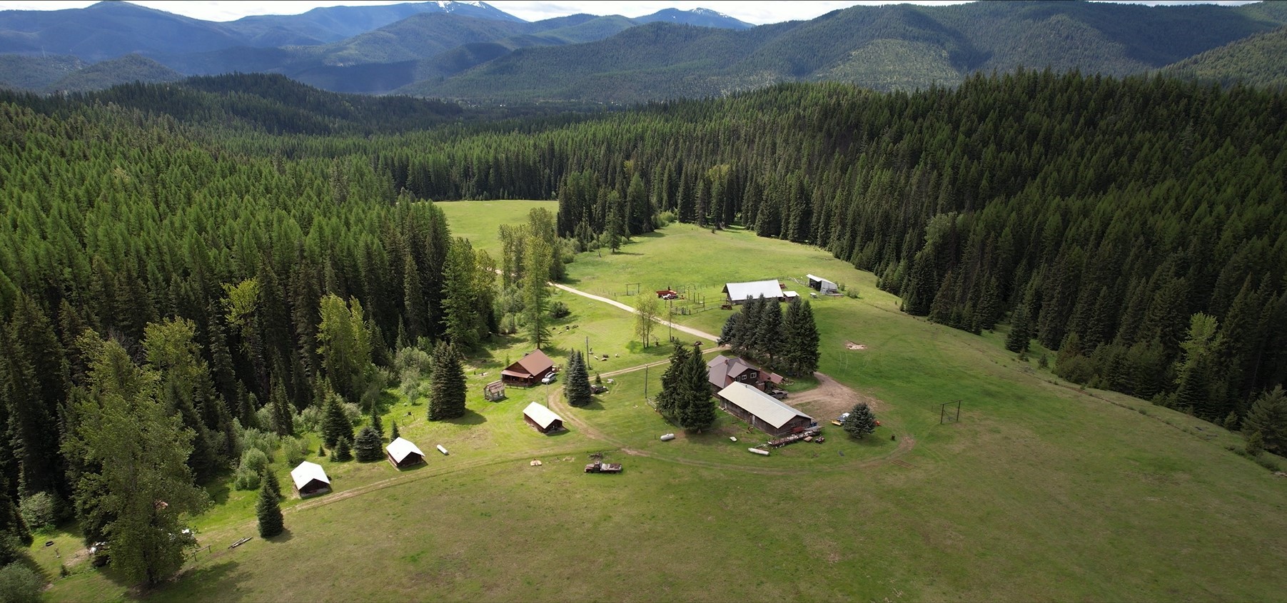1876 Timber Creek Road Property Photo 7