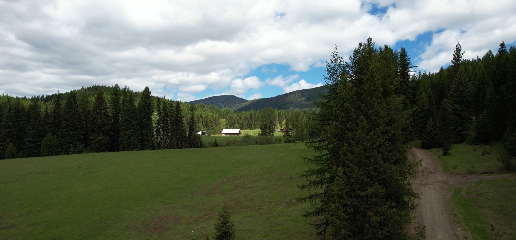 1876 Timber Creek Road Property Photo 75