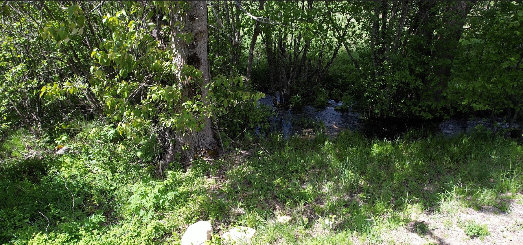 1876 Timber Creek Road Property Photo 78