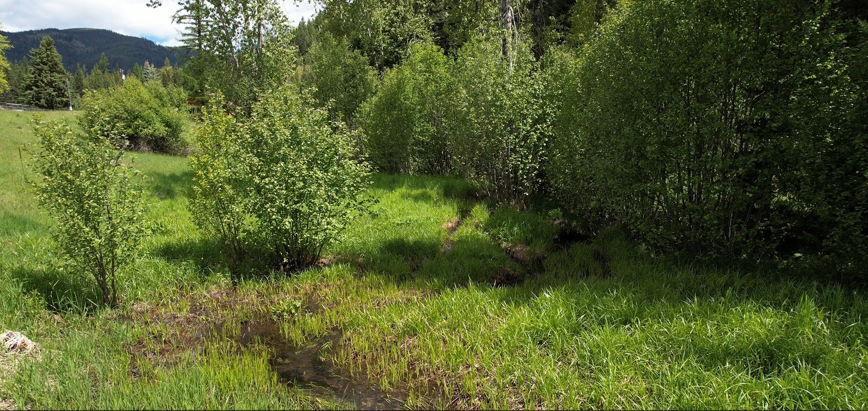 1876 Timber Creek Road Property Photo 79