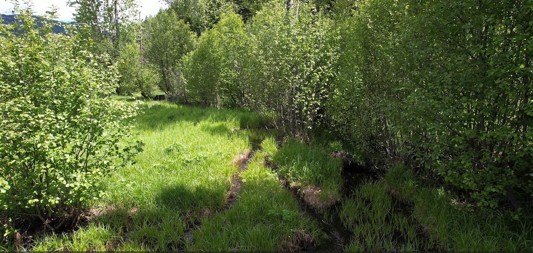 1876 Timber Creek Road Property Photo 80