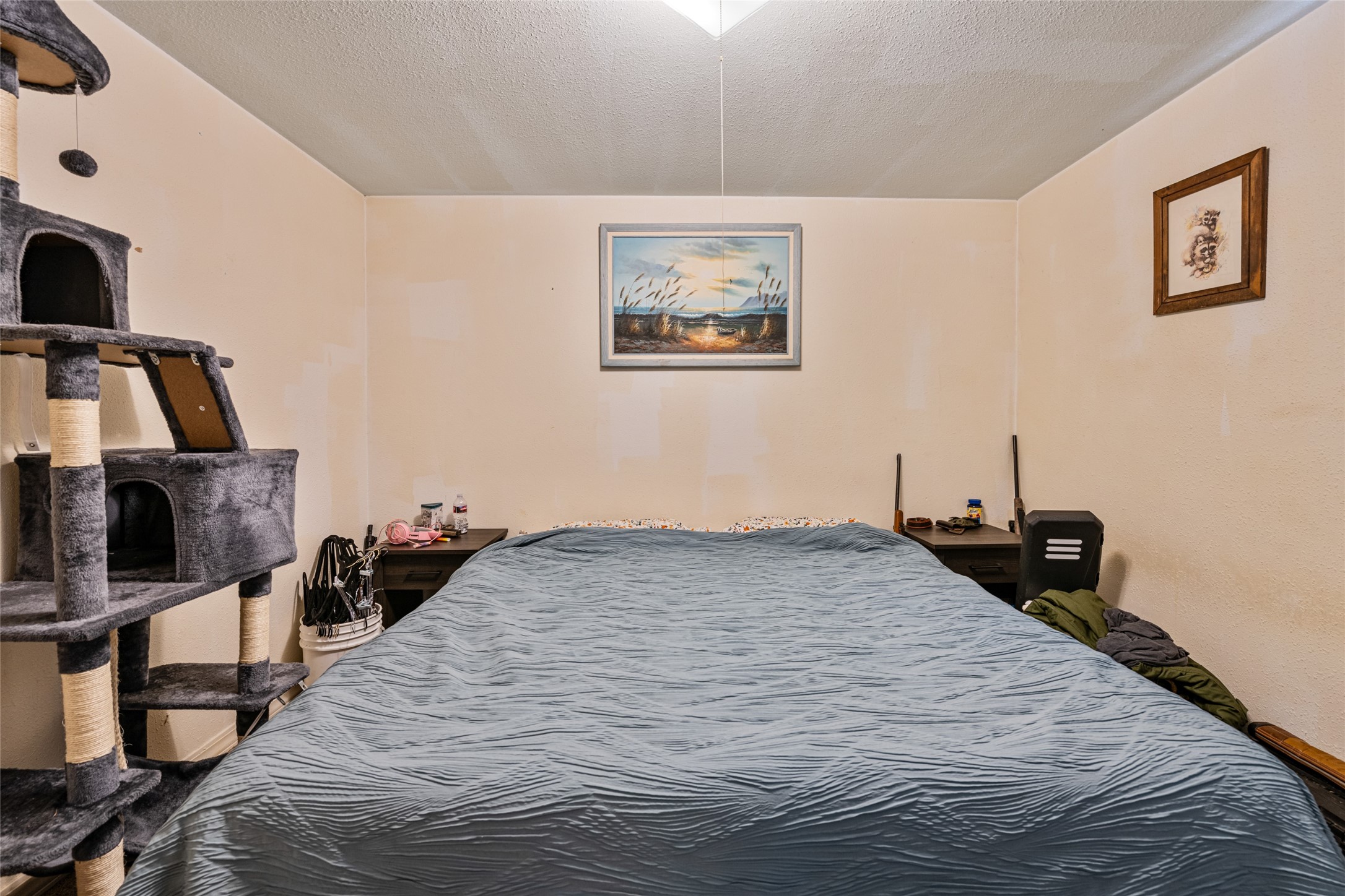 227 W Montana Street W Property Photo 15
