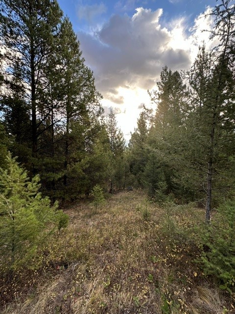 Lot 10 Black Pine Meadows Subdivision Property Photo