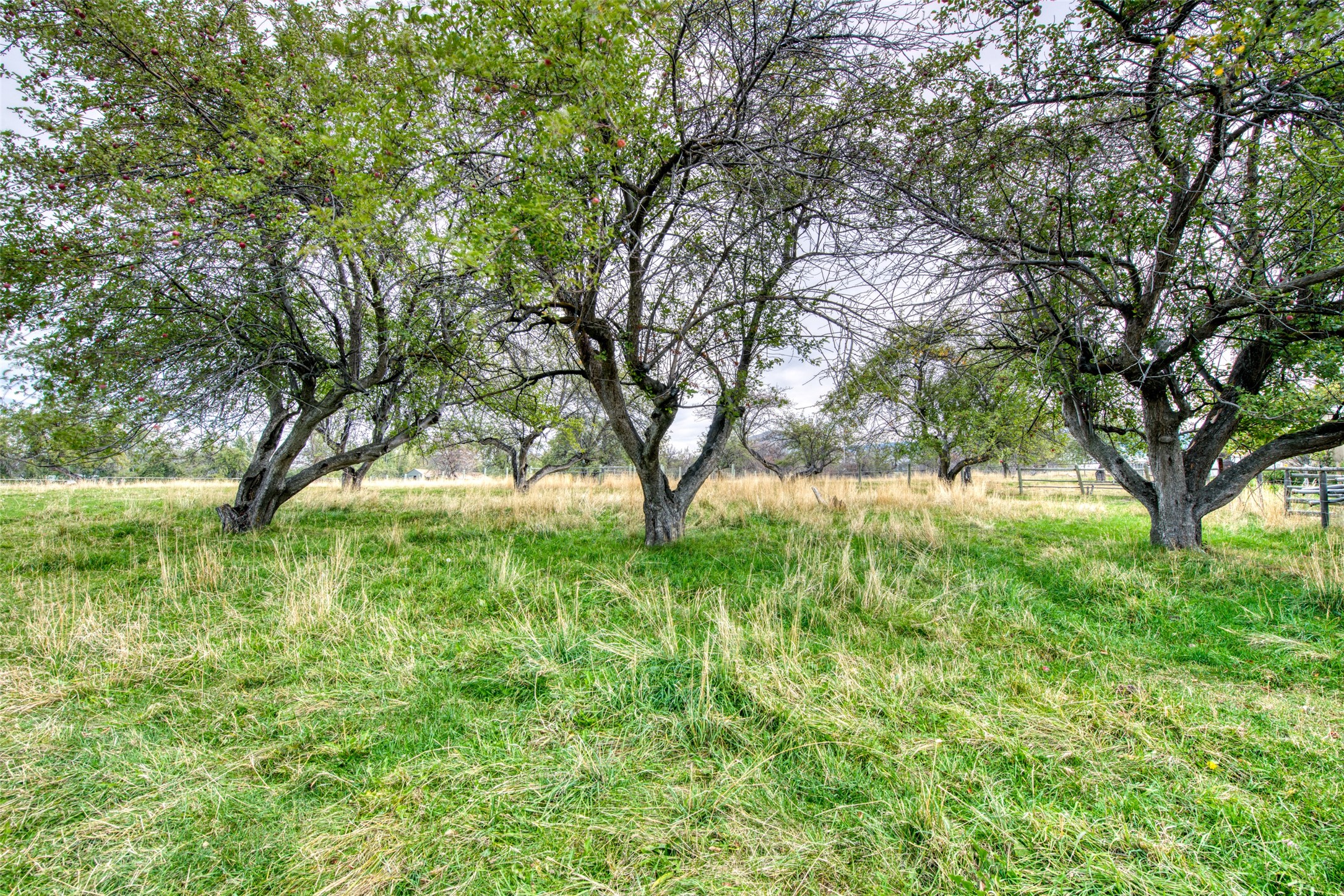 1255 Apple Blossom Lane Property Photo 18
